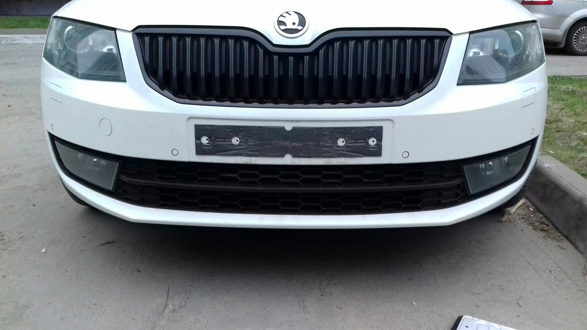 Как снять решетку радиатора шкода а7 Сетка в решетку радиатора - Skoda Octavia A7 Mk3, 1,4 л, 2016 года тюнинг DRIVE2