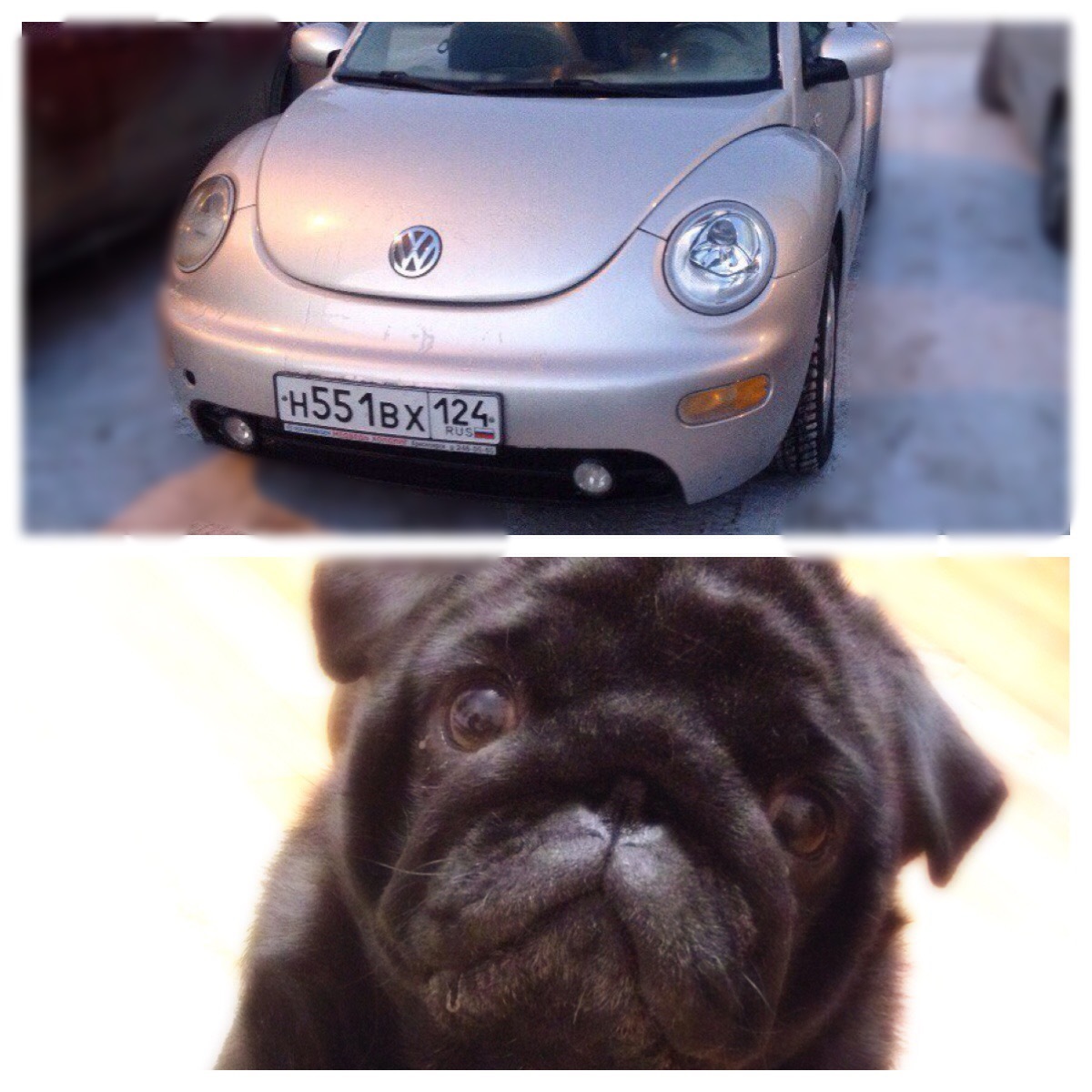 Записки сумасшедшего. — DRIVE2