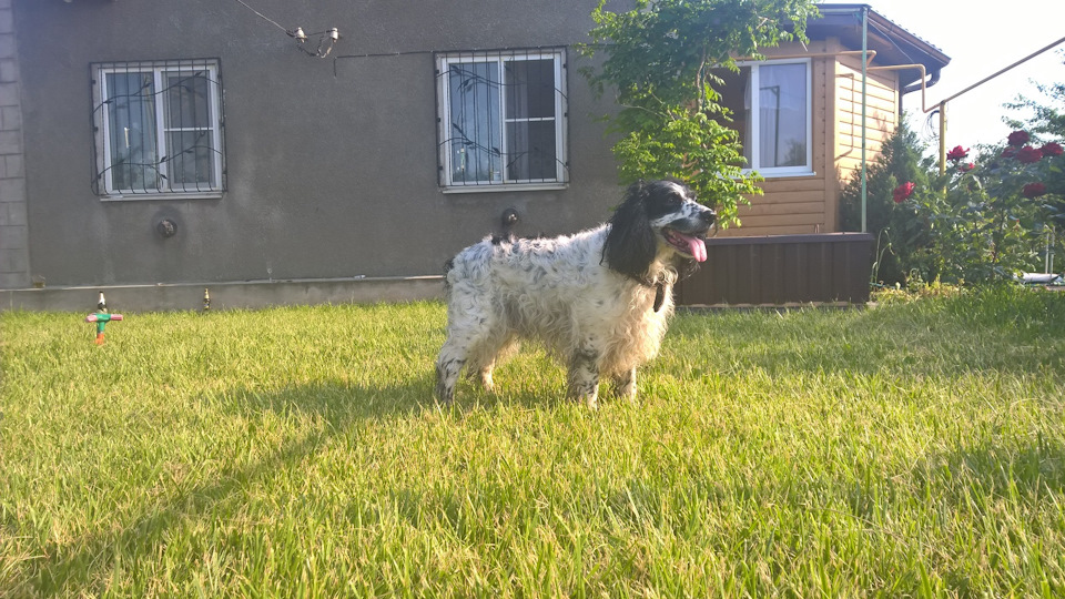 Фото в бортжурнале Audi 100 (C4)