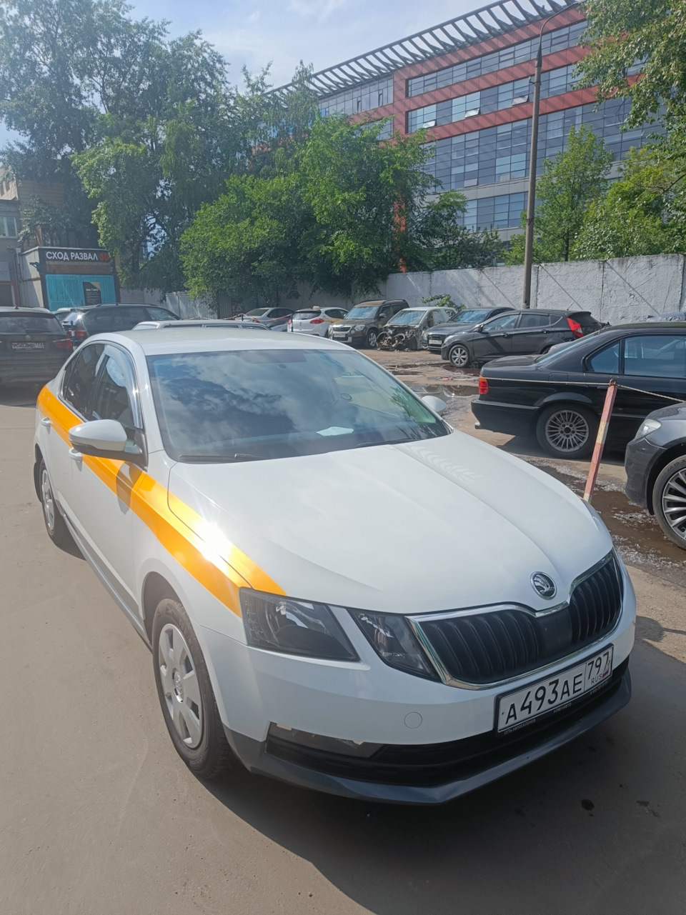 Почему я взял машину под такси ? Или как сделать авто активом — Skoda  Octavia A7 Mk3, 1,6 л, 2019 года | стайлинг | DRIVE2