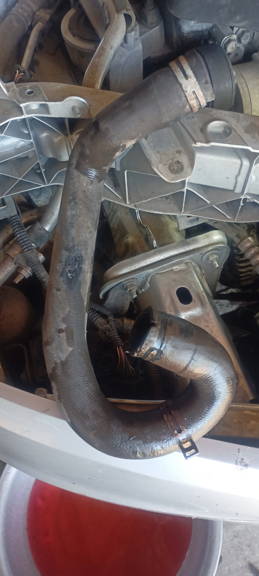 Вот он. — Ford Focus Sedan II