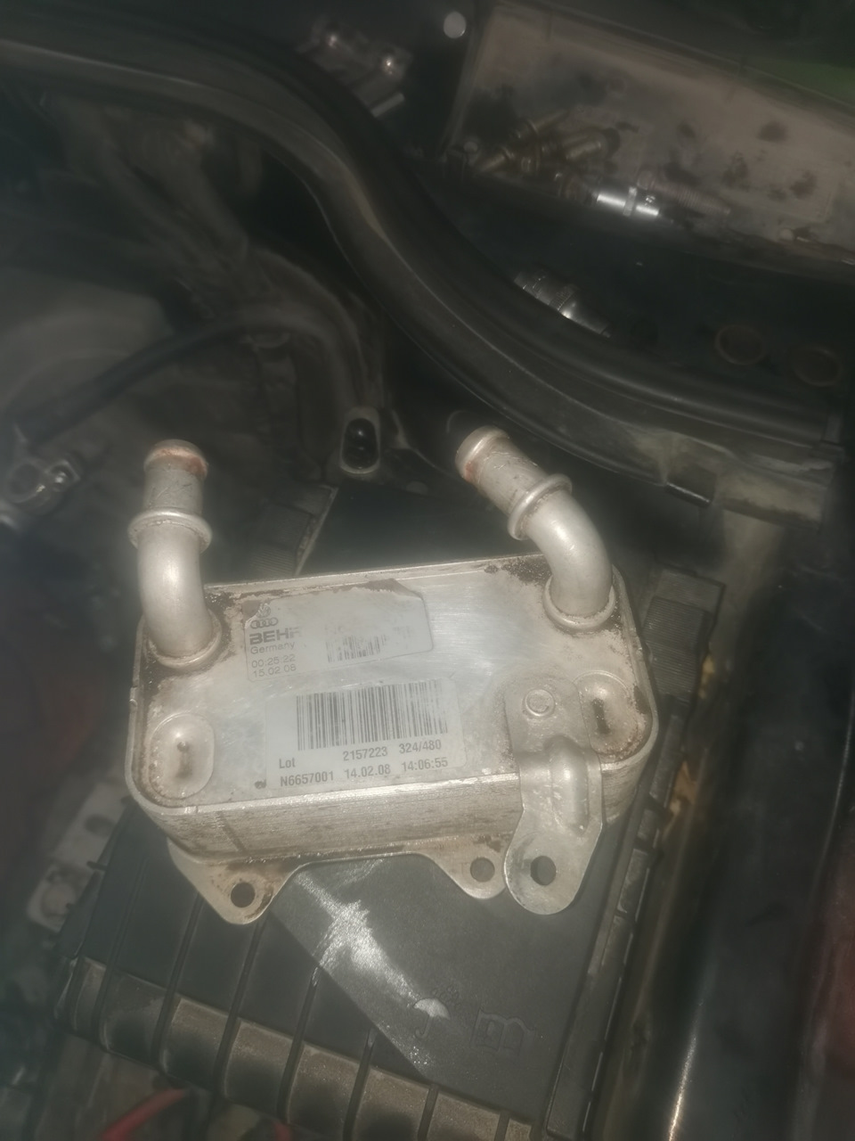 Течь антифриза. Масло в расширительном бачке. — Volkswagen Passat B6, 1 ...