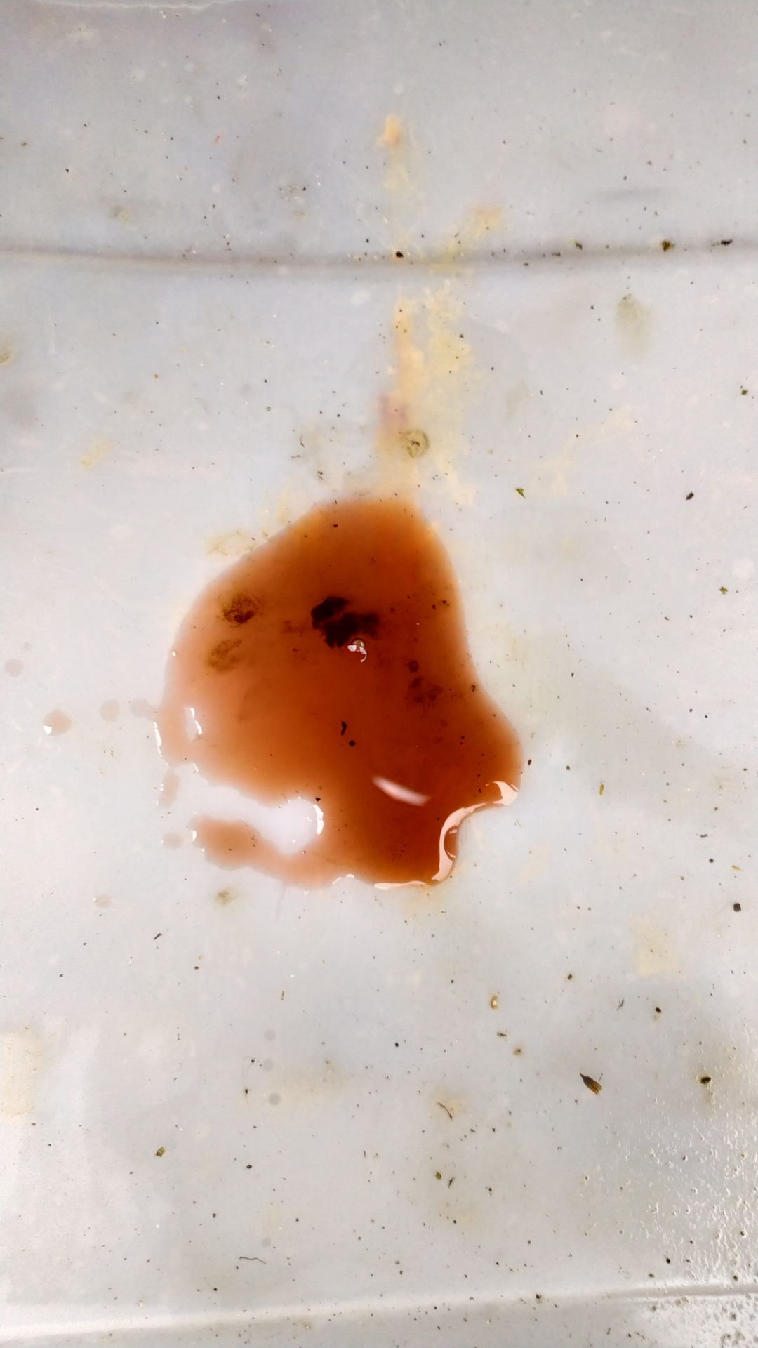 Замена масла АКПП самостоятельно audi a4 b5 1,9 1 z Масло аналог Mobil ...