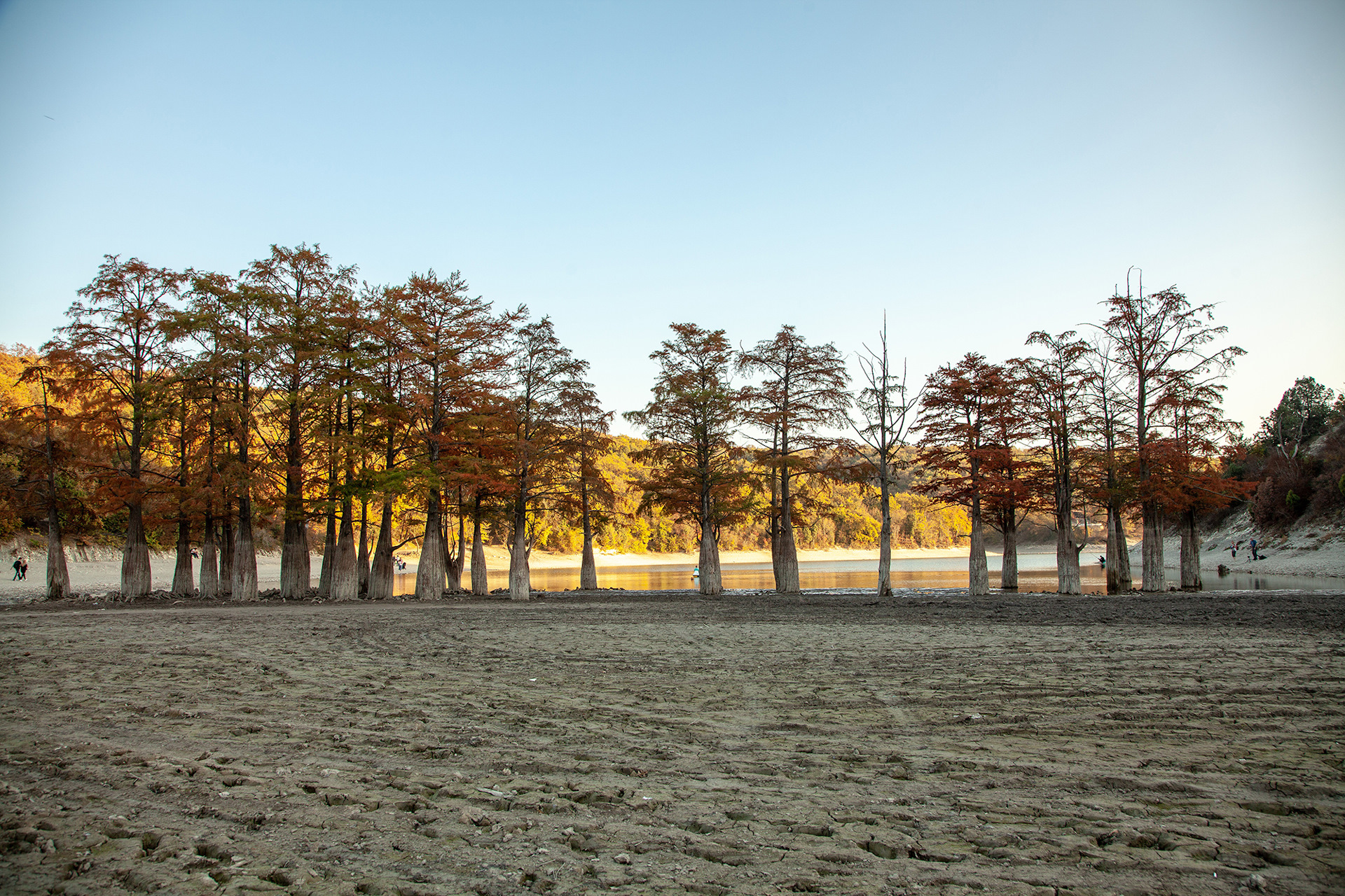 Сукко озеро с кипарисами. Озеро в кипарисово приморский край. Кипарисовое озеро 2023. Озеро в кипарисово приморский край. Кипарисовое озеро в анапе 2022.