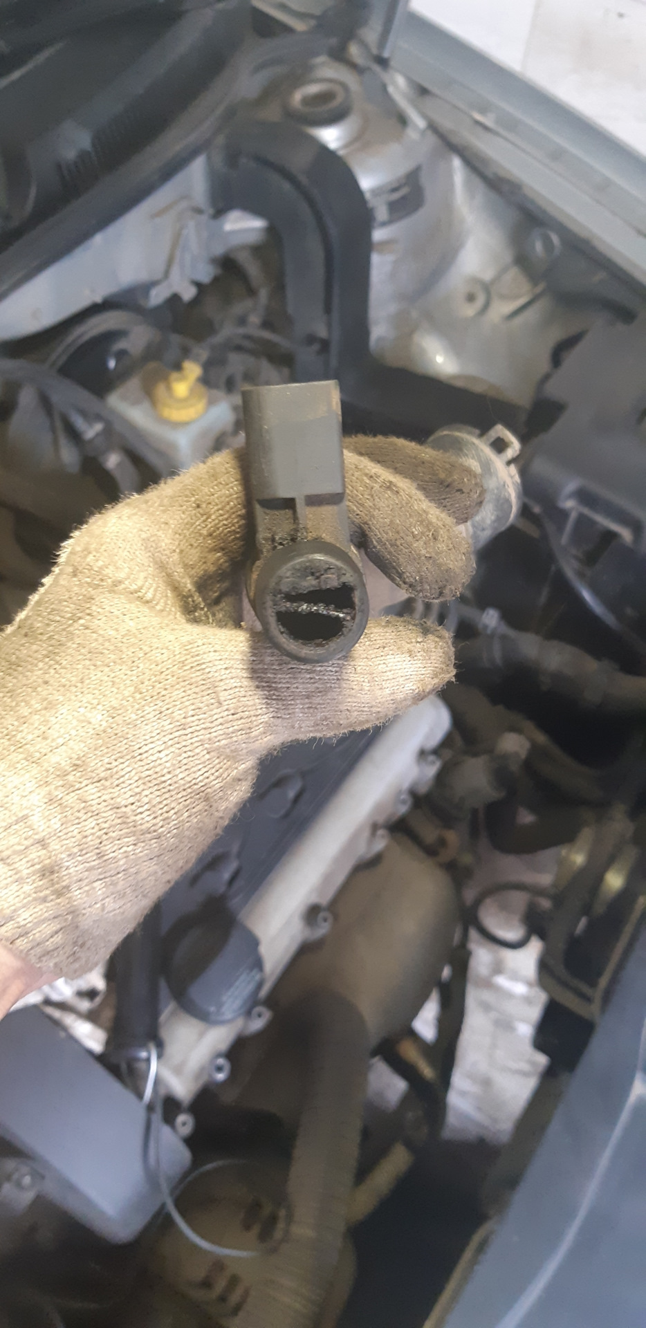 Маслоотделитель — Volkswagen Golf Mk4, 1,4 л, 2001 года | своими руками ...