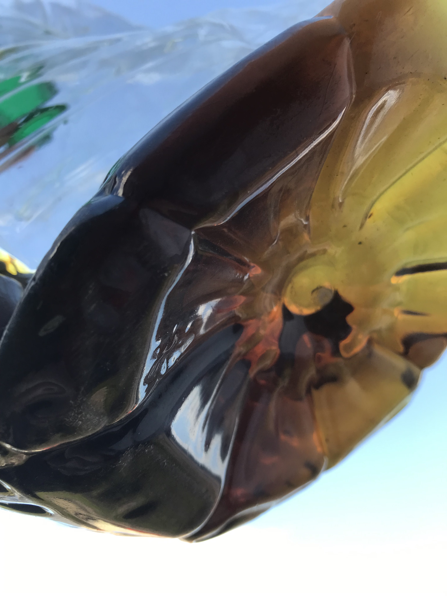 Замена гидравлического масла. — Honda Element, 2,4 л, 2004 года ...