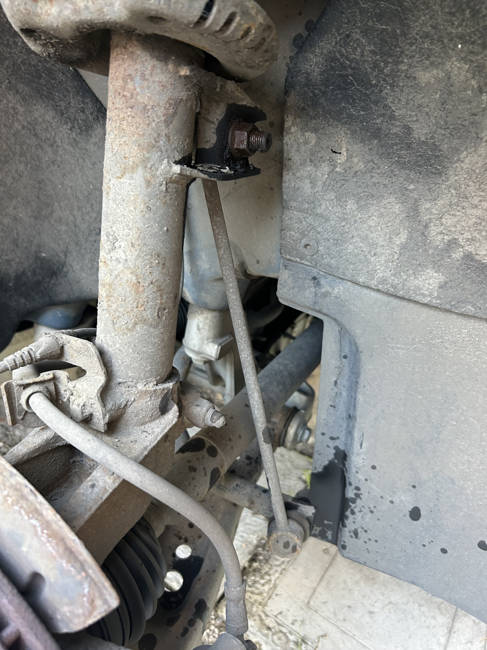 Фото в бортжурнале Skoda Octavia A5 Mk2