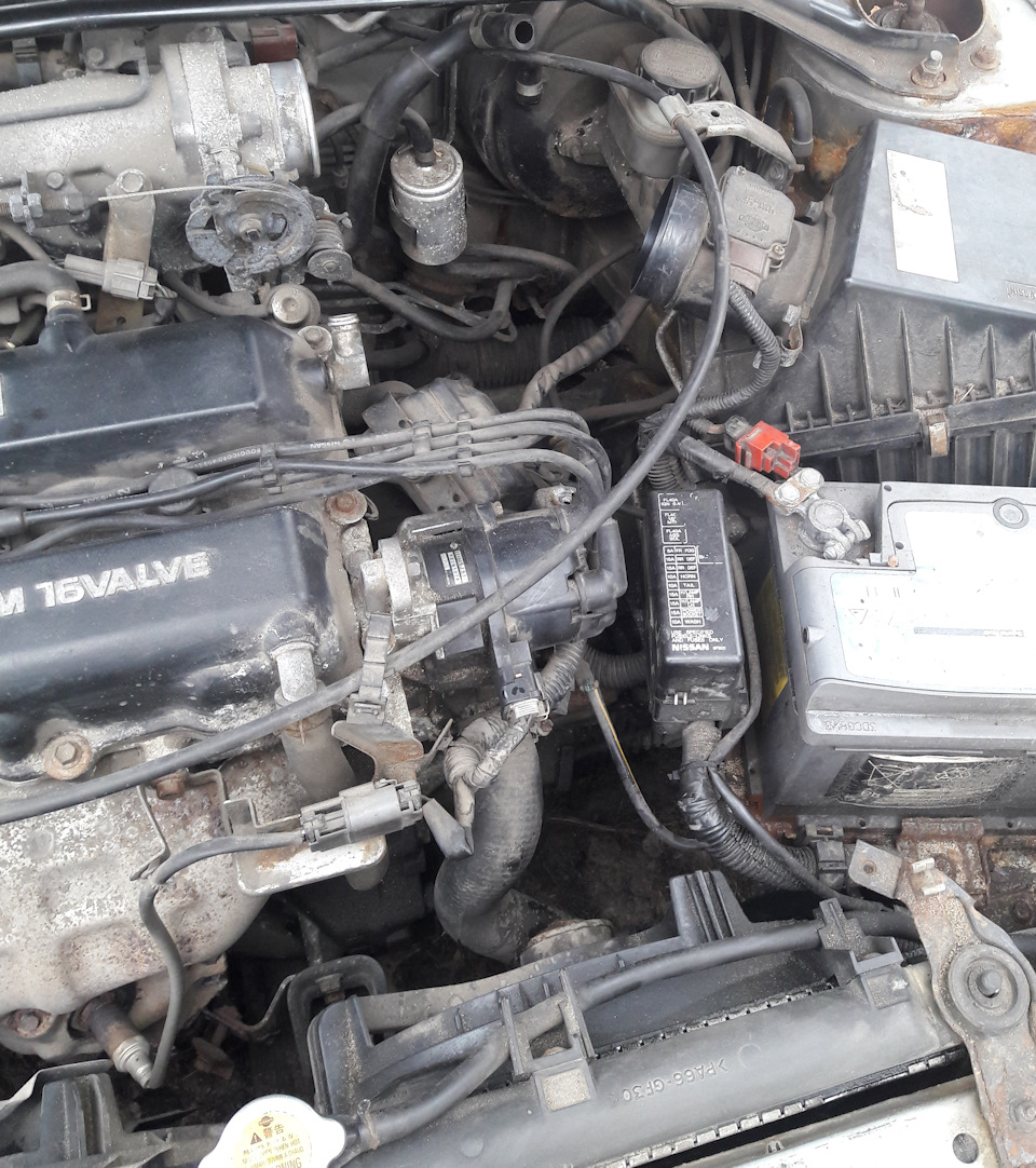 ТО №1 часть первая — Nissan Primera (P11), 2 л, 1998 года | плановое ТО ...