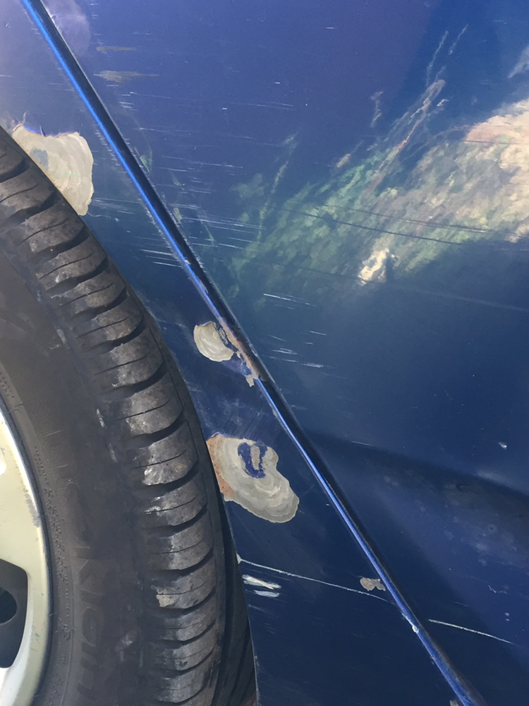 Калуга — Hyundai Solaris, 2012 года | ДТП | DRIVE2