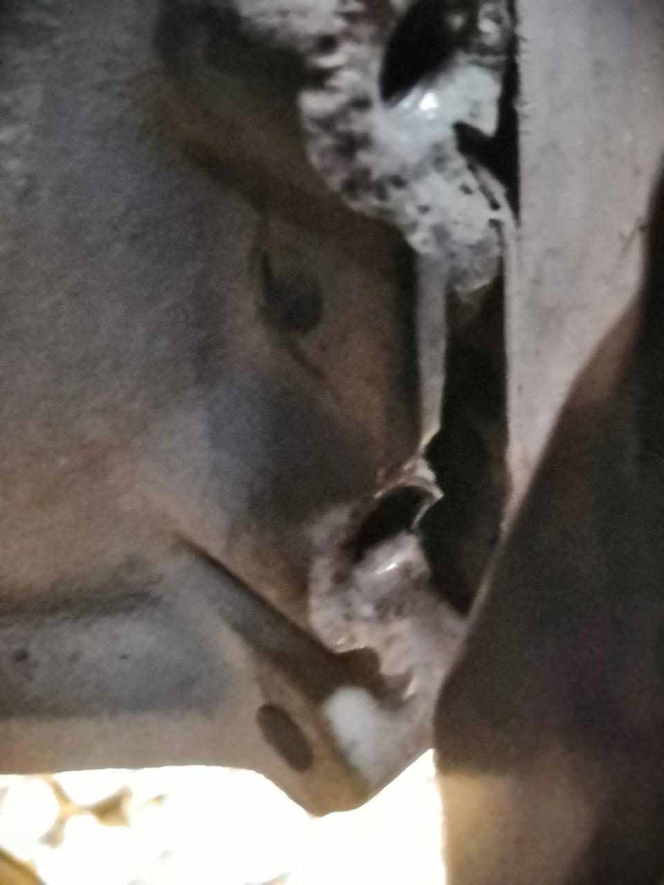 РОК-ГРУППА КПД мы приглашаем всех на LIVEнь — Сообщество «DRIVE2 ...