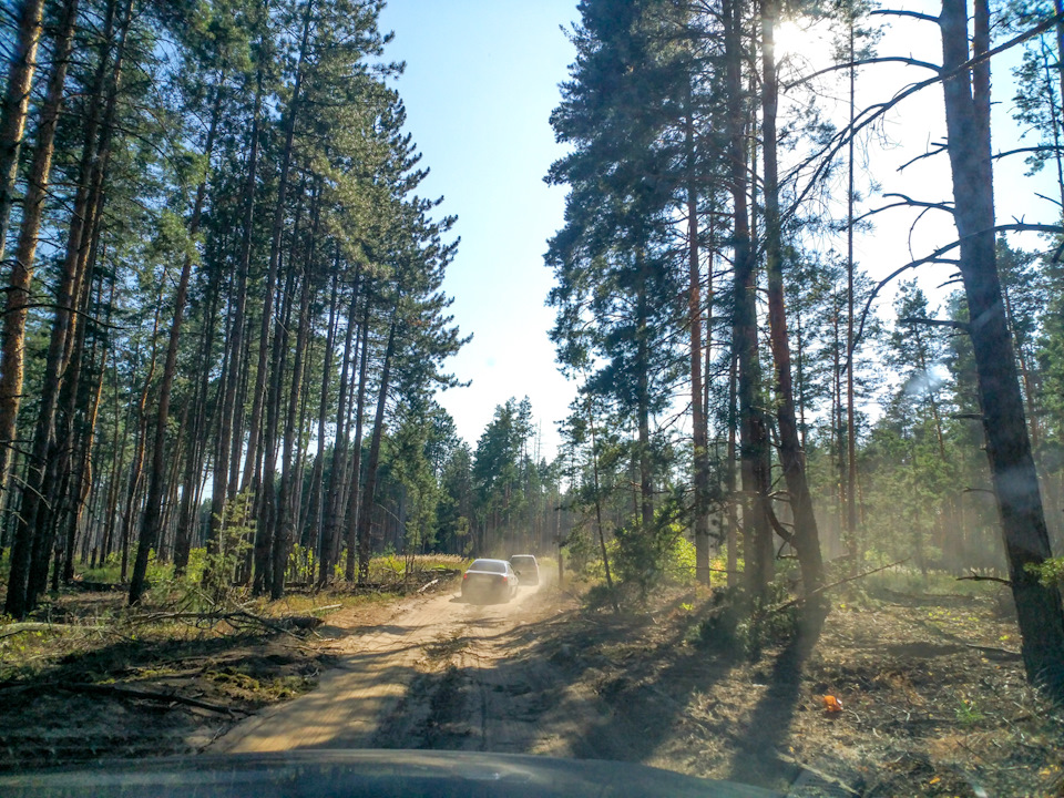 Дорога через лес при объезде Лосево — Audi A5 (1G)