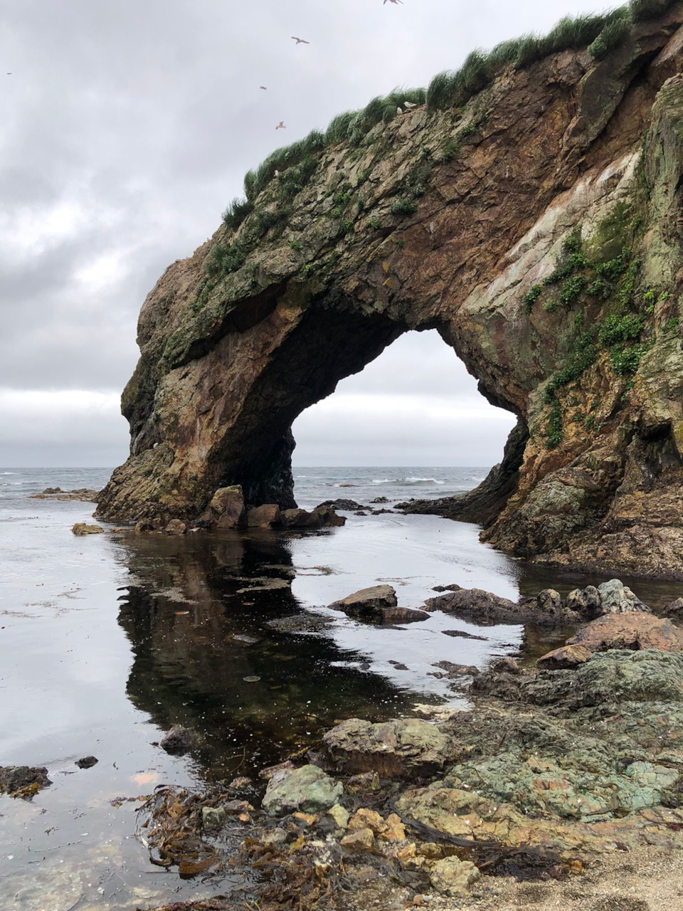 Фото в бортжурнале Mitsubishi Delica D:5