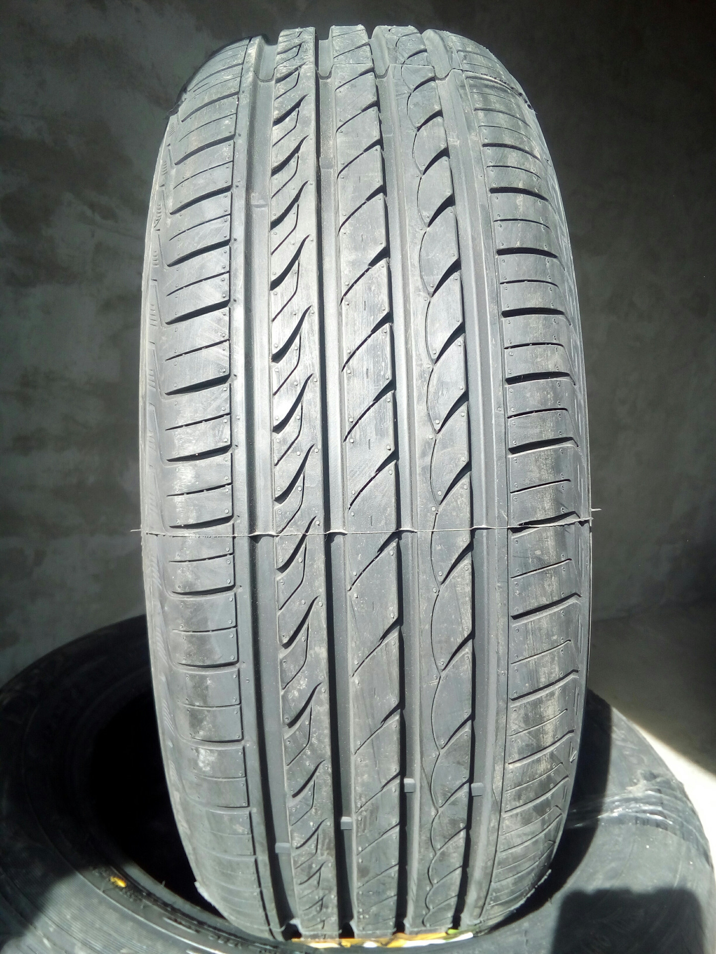 Delinte Dh2 205 55 R16 Купить