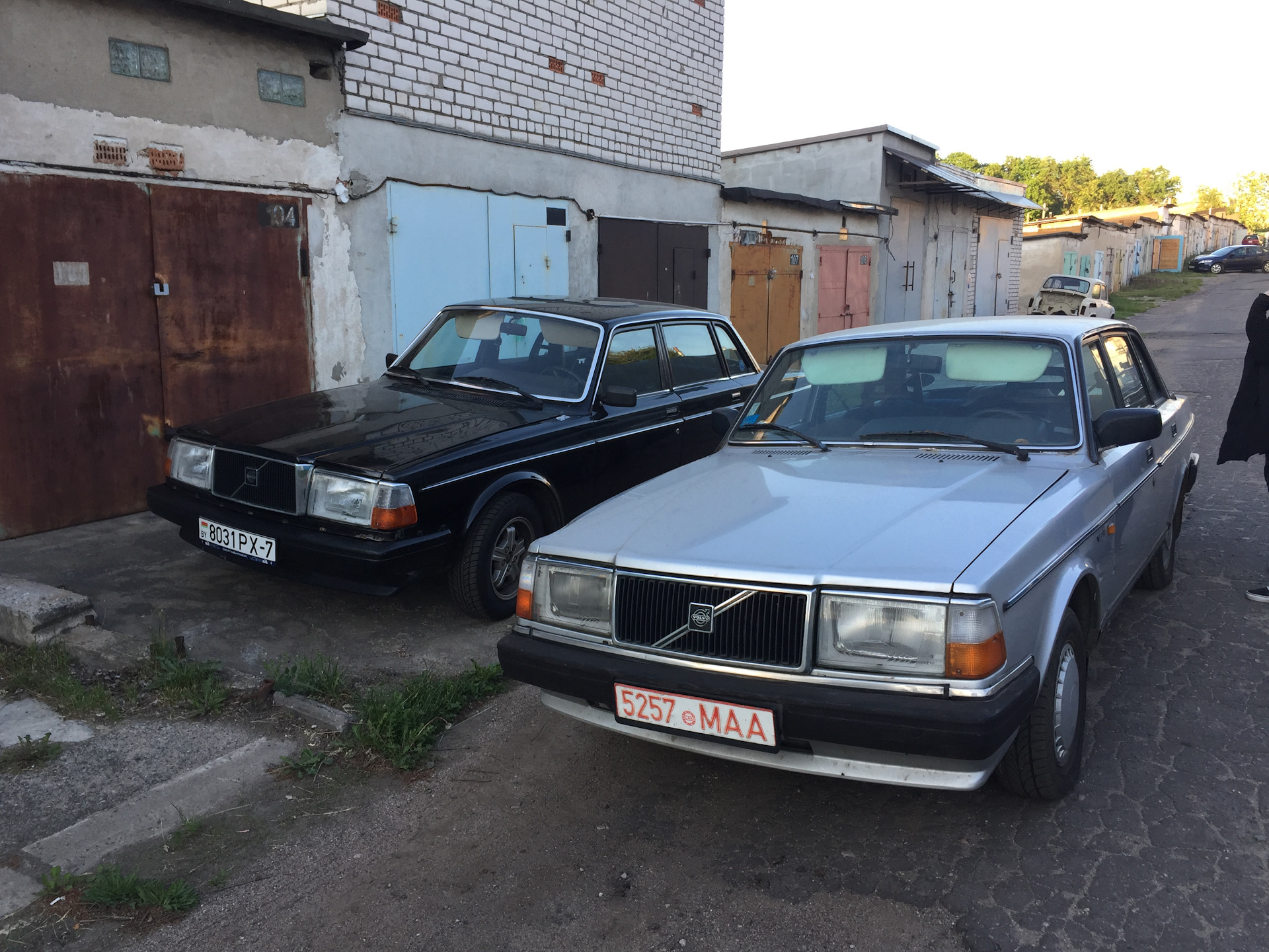 Volvo 240 Diplomat