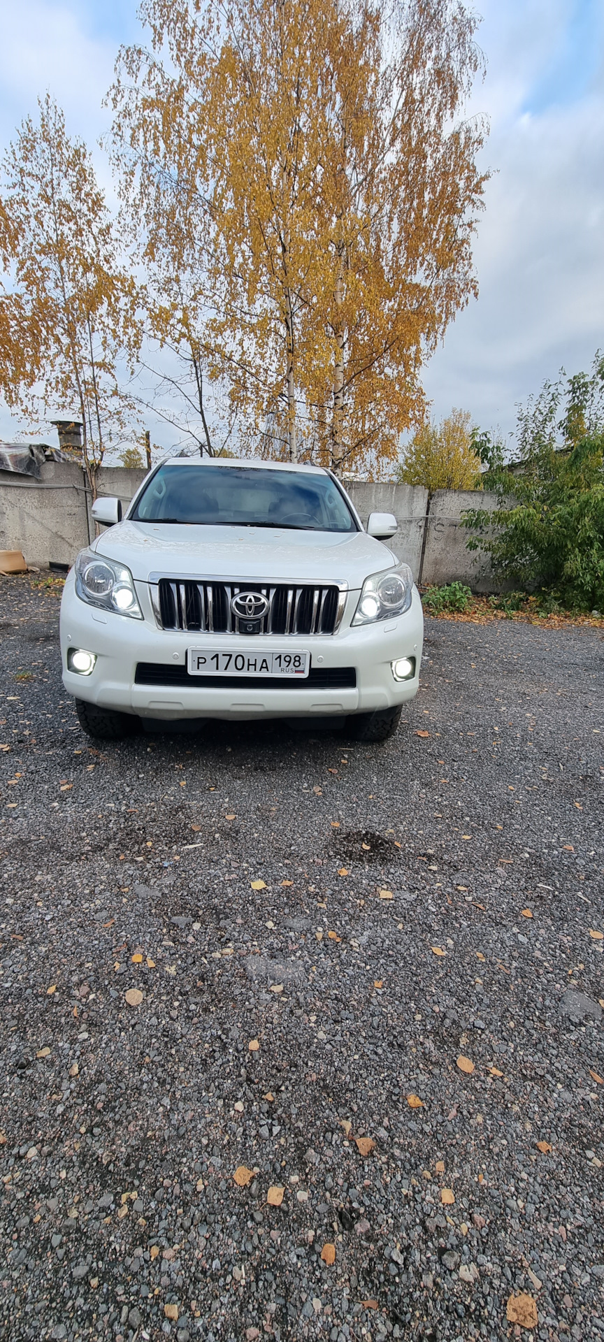 Замена лампы в противотуманках на LED Toyota land Cruiser Prado 150 ...