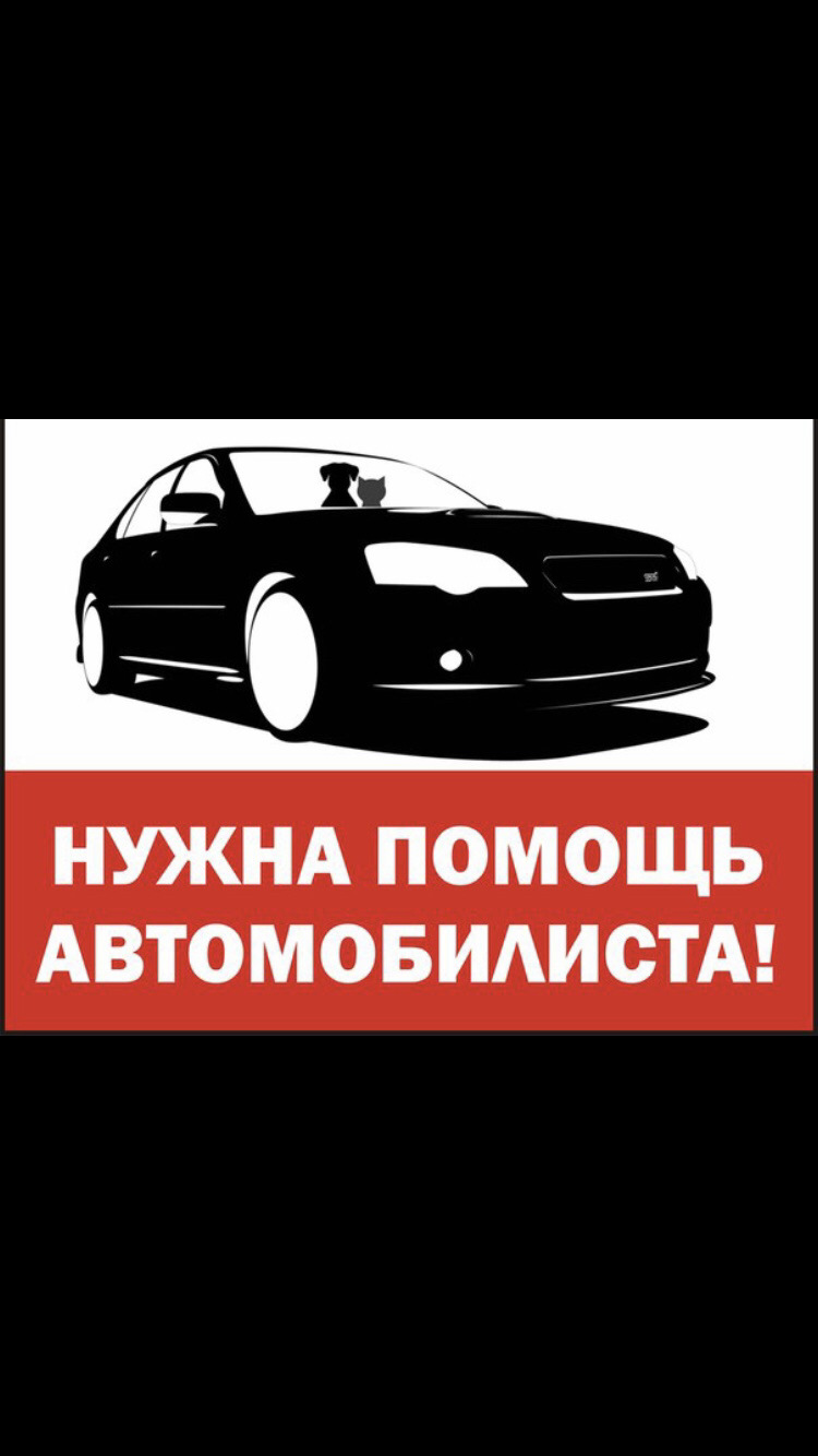 Задние амортизаторы ! — Hyundai Solaris (1G), 1,6 л, 2013 года ...