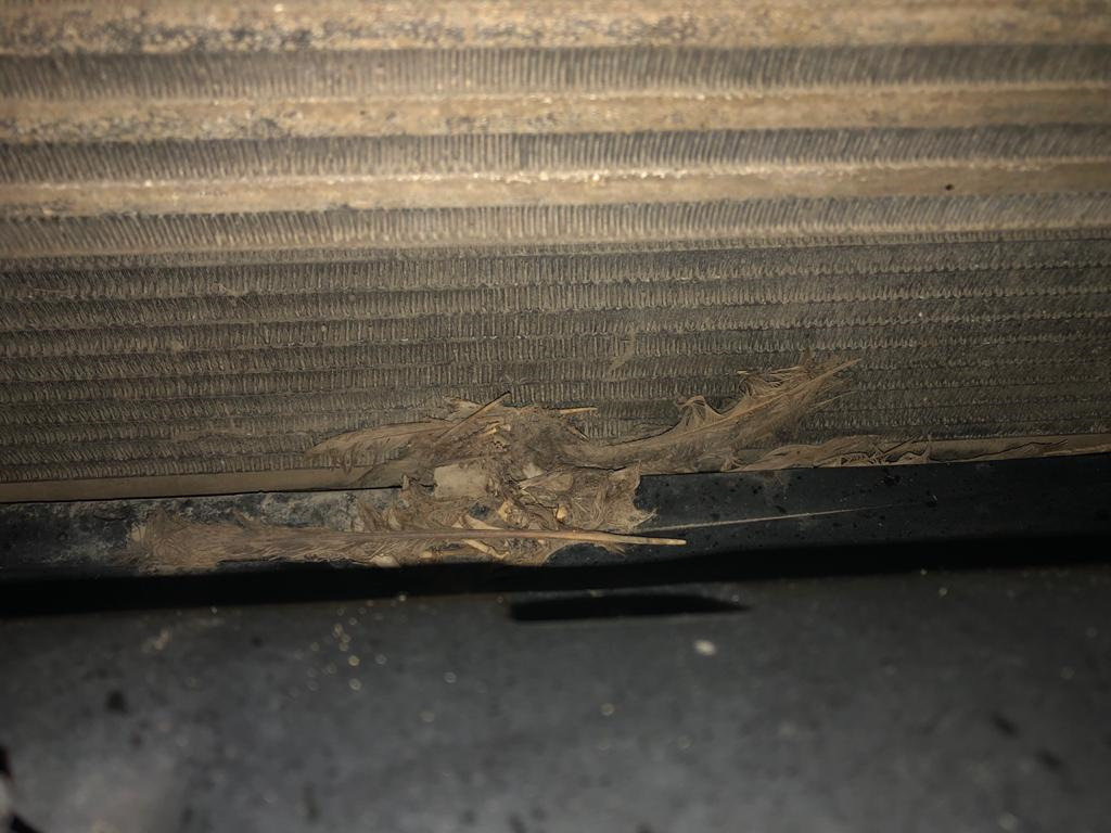 Машина в сервисе мойка радиаторов и диагностика — Porsche Cayenne (1G ...