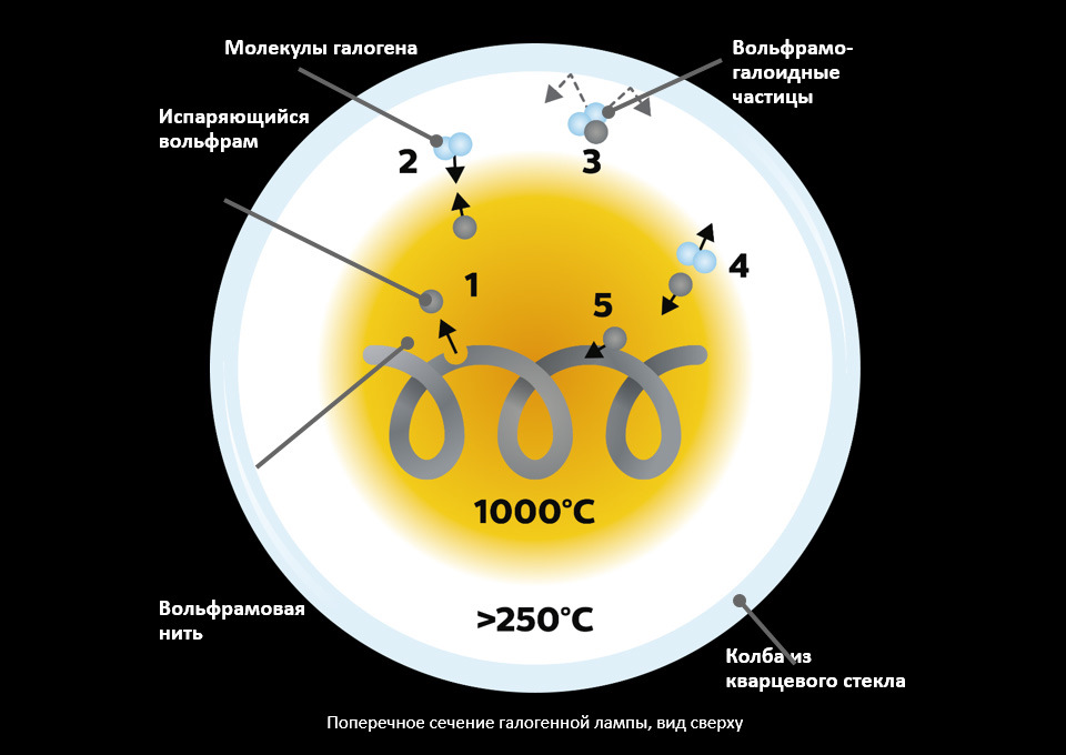 Температура галогенов. Температура спирали галогеновой лампы. История галогенной лампы. Галогенные процессы. Выгорание спирали галогеновой лампы.