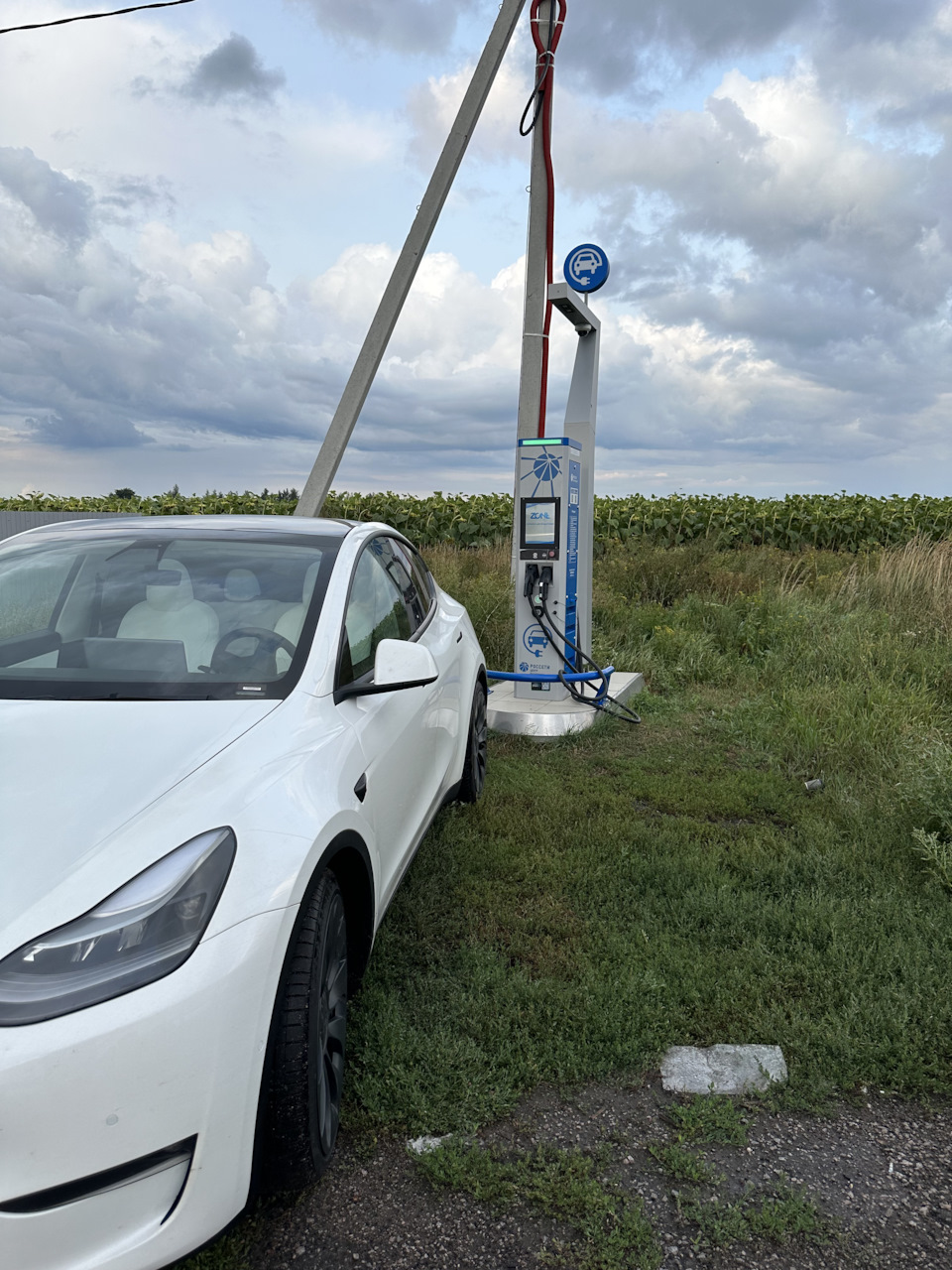 Дорога до Волгограда из Москвы — Tesla Model Y, 2021 года | покупка машины  | DRIVE2