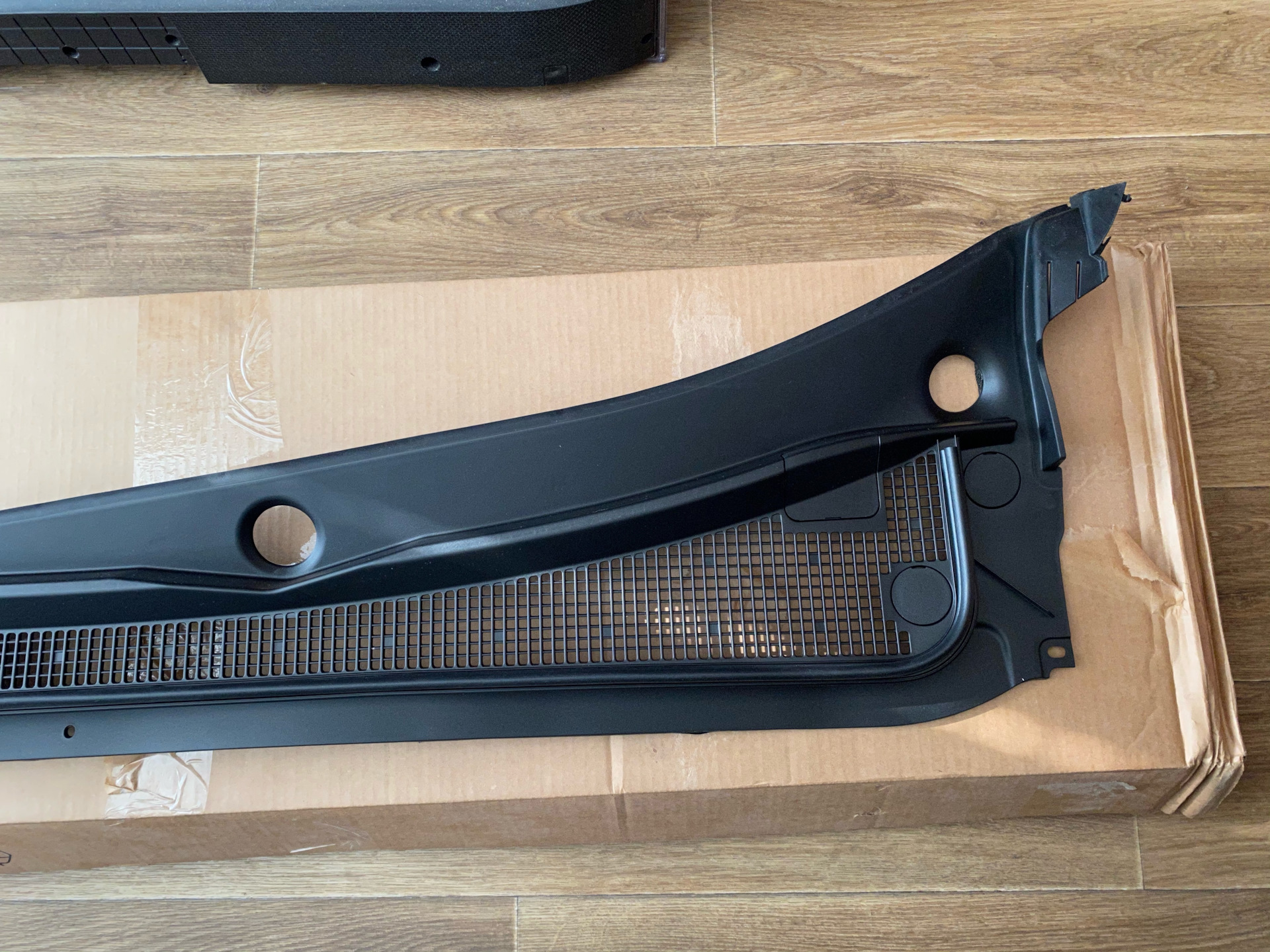 жабо задние