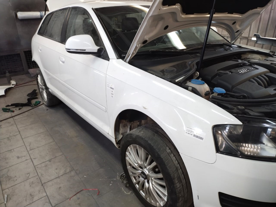 встало как родное и в цвет — Audi A3 Sportback (8PA). Запчасти на фото: 384746