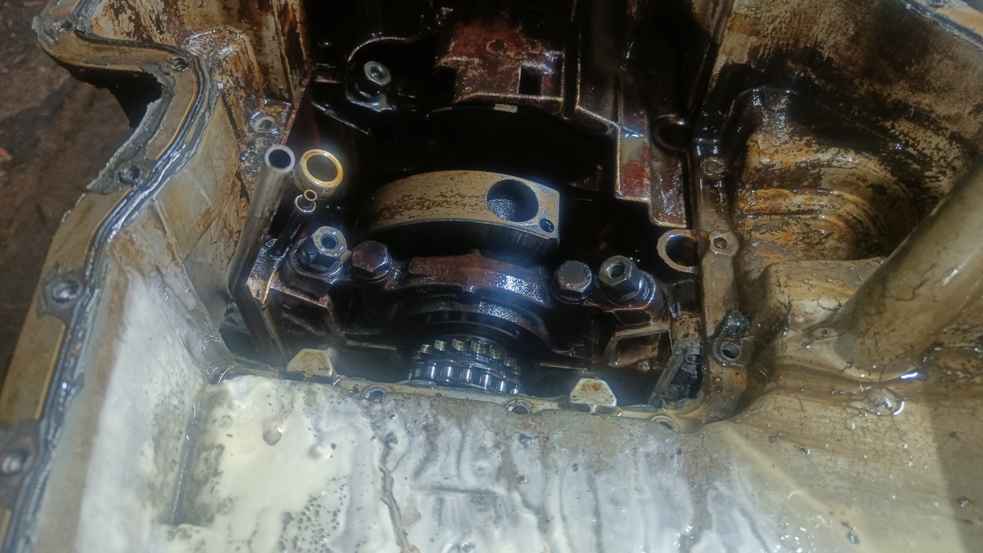 3OTa_nT300Z5-rR7ckgVCVBoEfY-1920.jpg