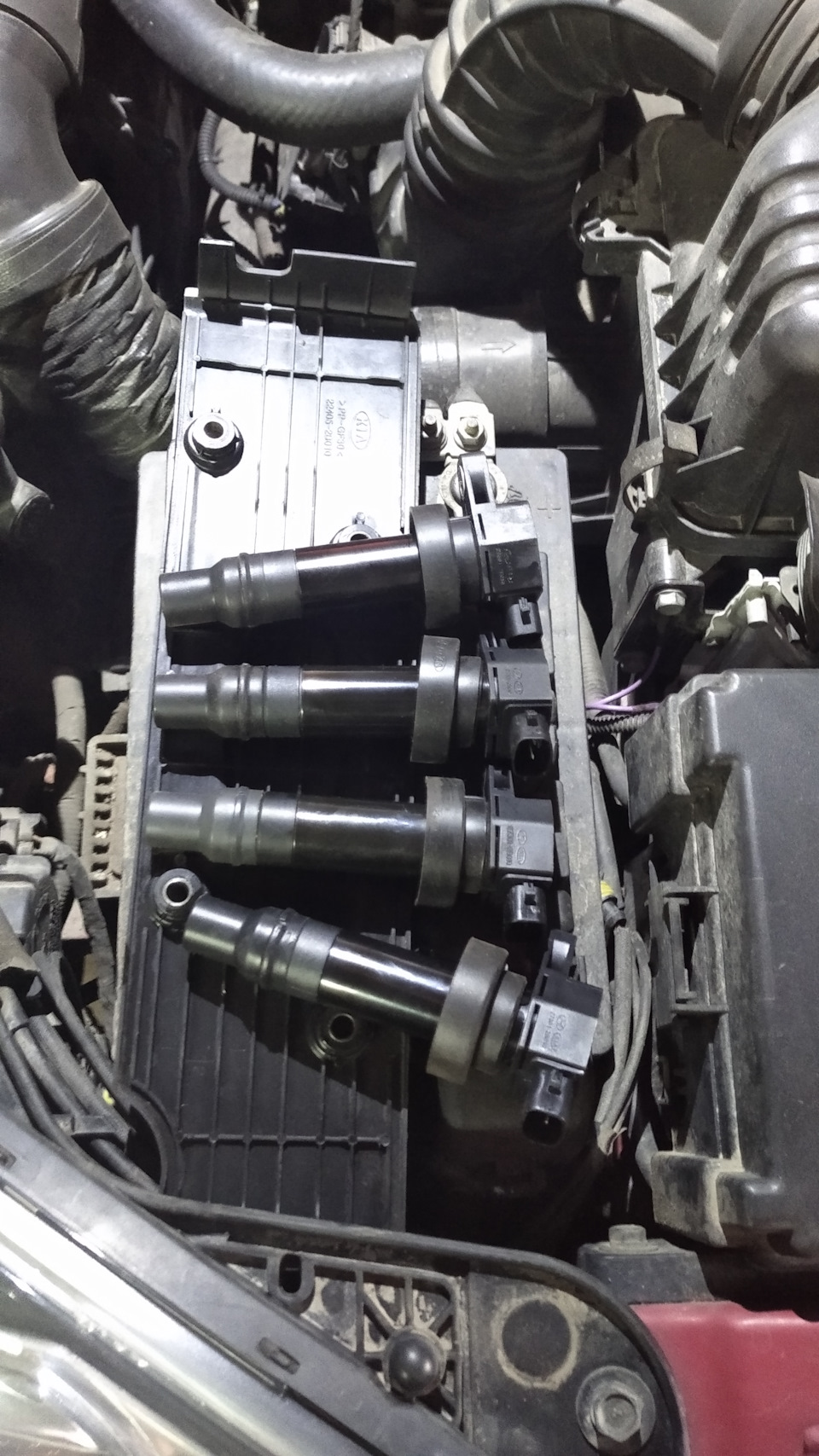 Фото в бортжурнале KIA Ceed (1G)