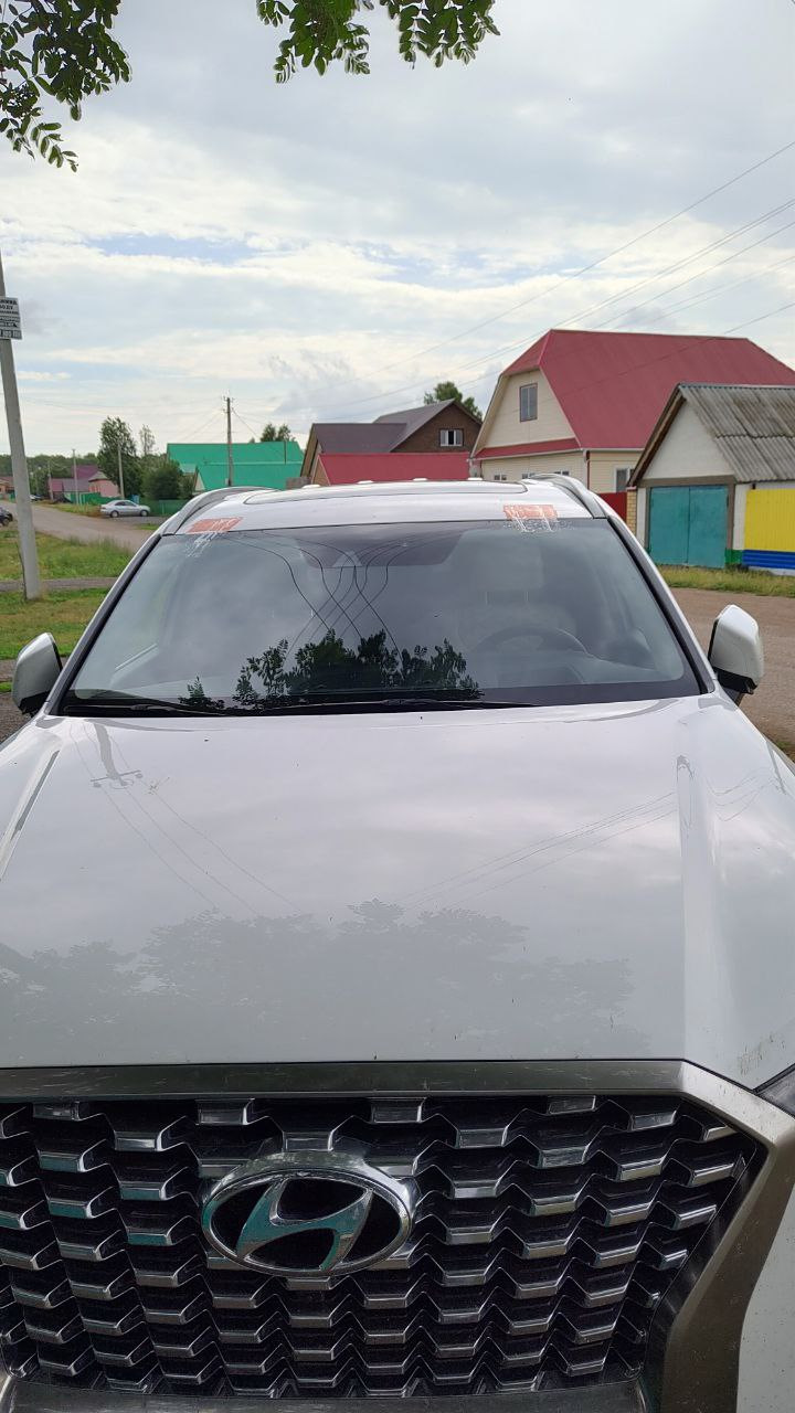 Фото в бортжурнале Hyundai Palisade (1G)