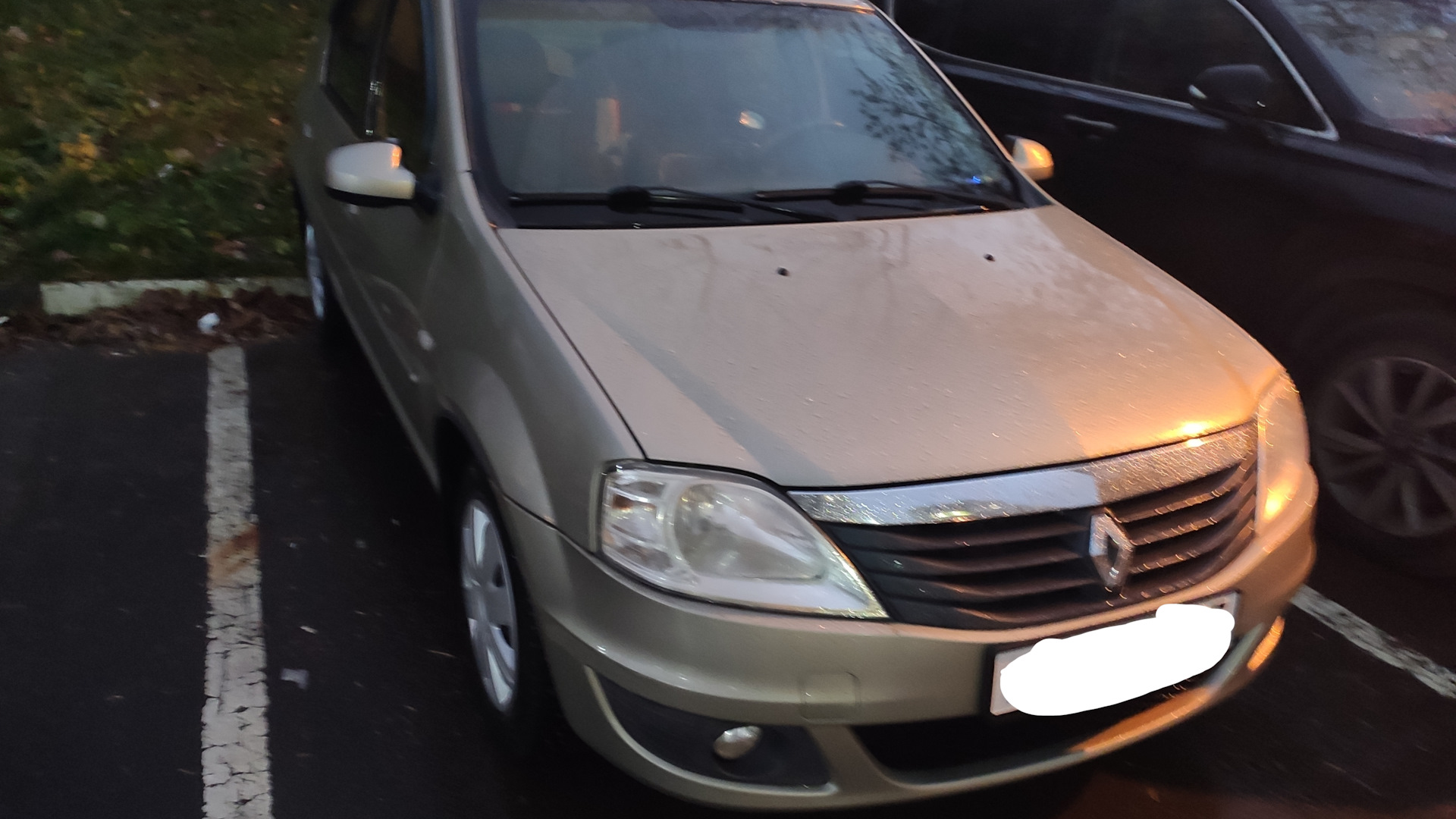 Renault Logan (1G) 1.6 бензиновый 2011 | K4M.DP2 на DRIVE2