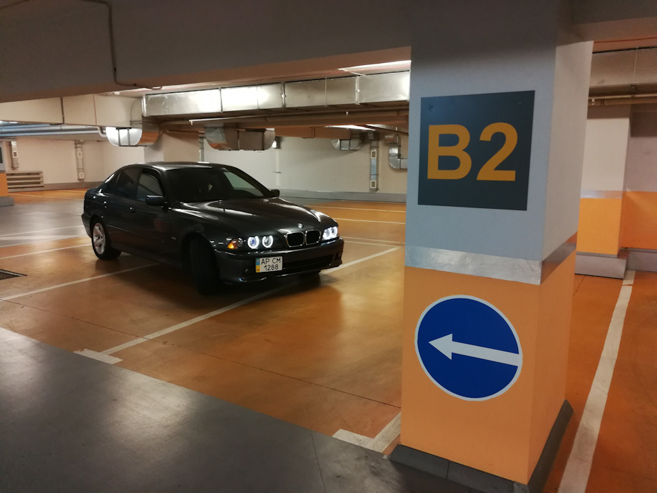 Фото в бортжурнале BMW 5 series (E39)