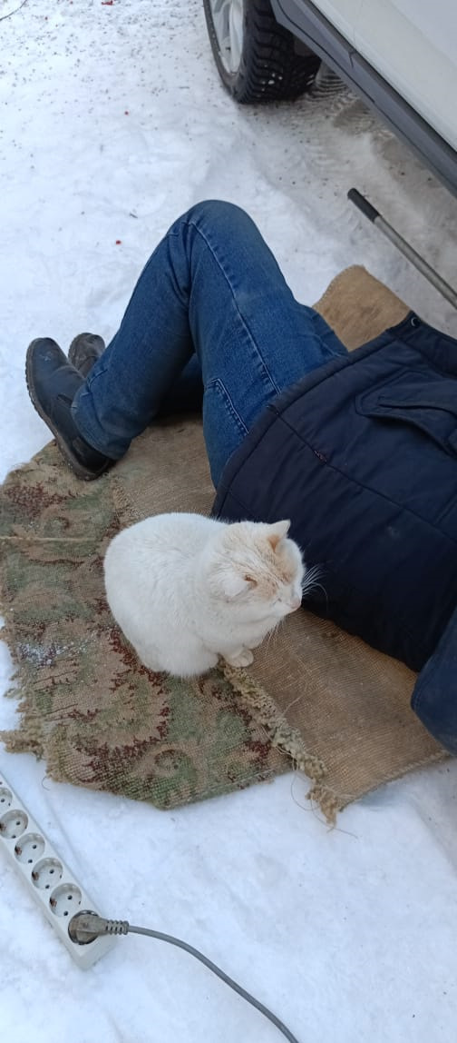 Замерз стартер — BMW X4 (F26), 3 л, 2017 года | поломка | DRIVE2