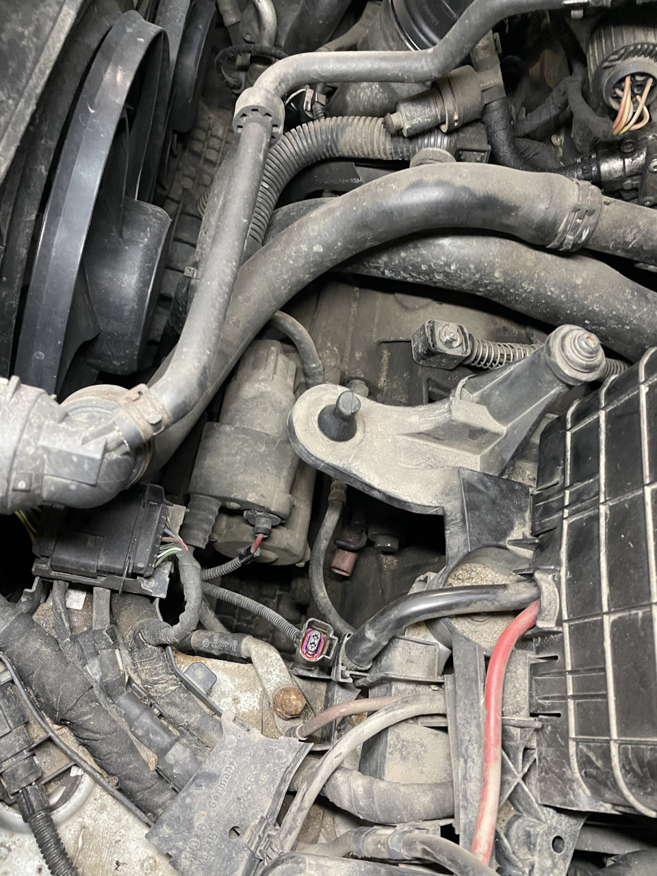 Фото в бортжурнале Volkswagen Passat B6