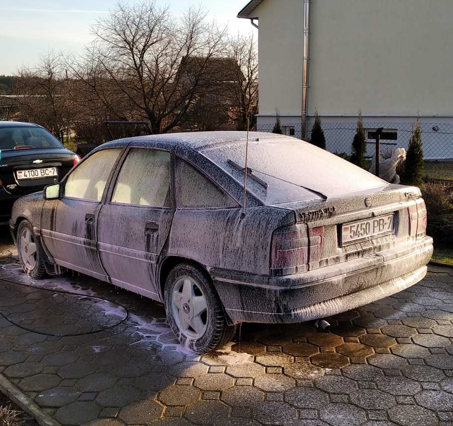 ВЕСНА, первая мойка, химчистка, своими руками, и просто красивые фото ...