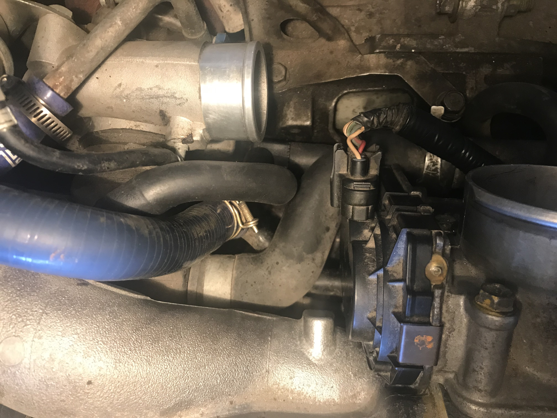 Картерные газы, клапан PCV. — Subaru Forester (SG), 2 л, 2002 года ...