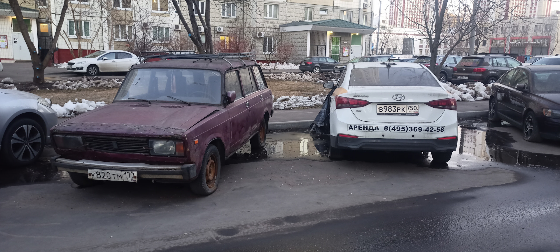 машина стоит во дворе уже долгое время. упавшее дерево. машина во дворе. крутая машина во дворе. машина во дворе.
