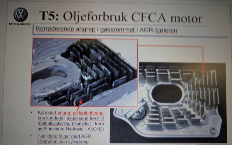 Фото в бортжурнале Volkswagen Multivan (T5)