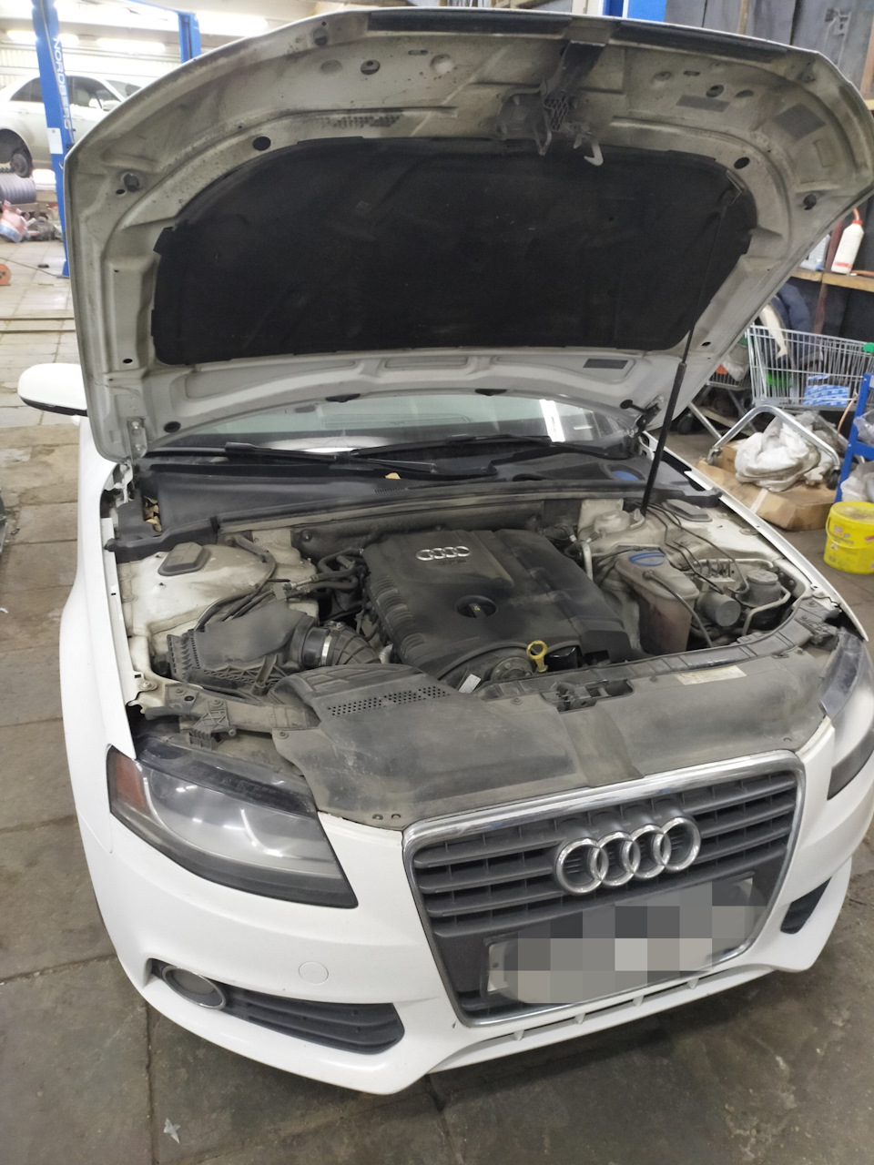 Поменяли Цепь ГРМ на Audi A4 2011г. — AG-Vnukovo на DRIVE2