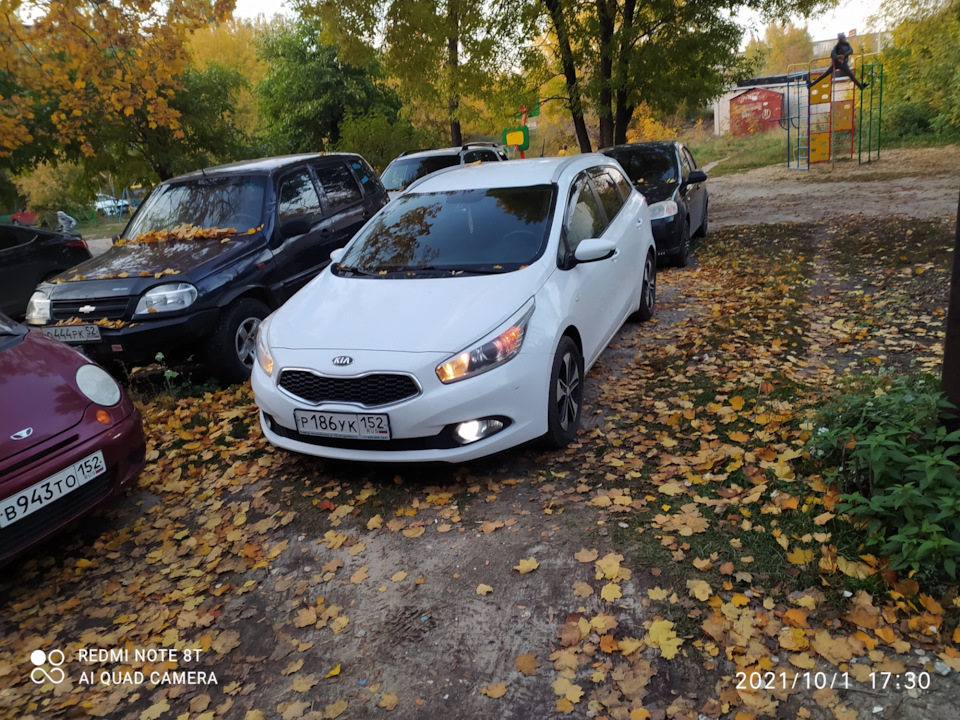 Поменял масло в двигателе и лампы в ходовых огнях — KIA Ceed (2G), 1,6 ...
