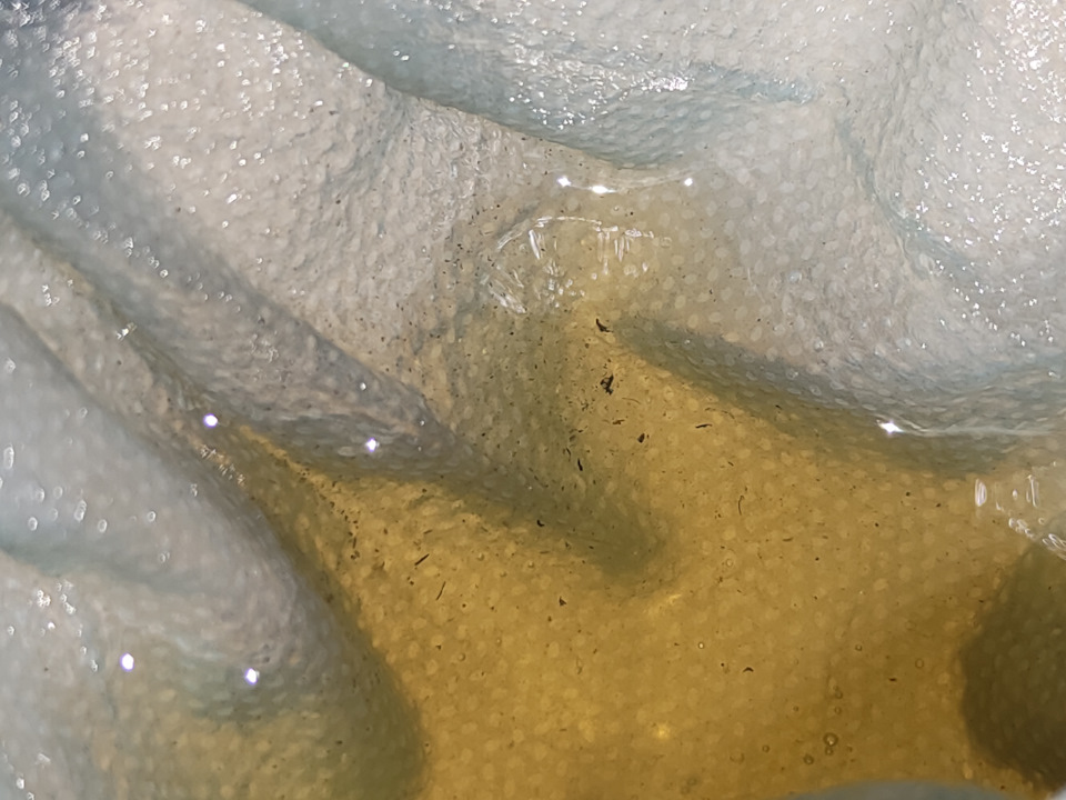 Процедил масло через одноразовую маску, и выявил мусорные частицы, что не есть хорошо для гидравлики. — Volkswagen Polo Sedan