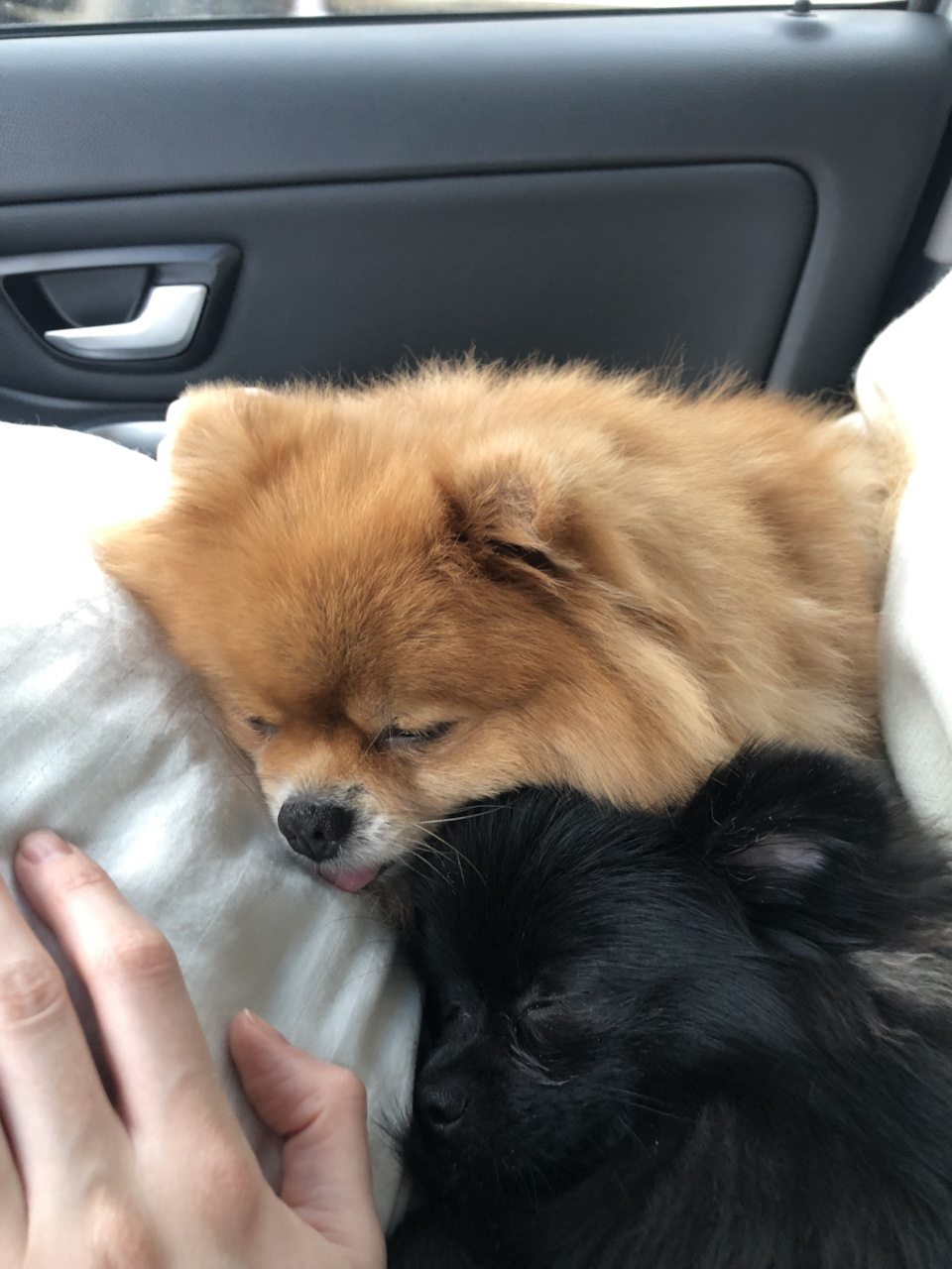 Новогодняя поездка в Омск ! — Volvo XC90 (1G), 2,5 л, 2011 года ...