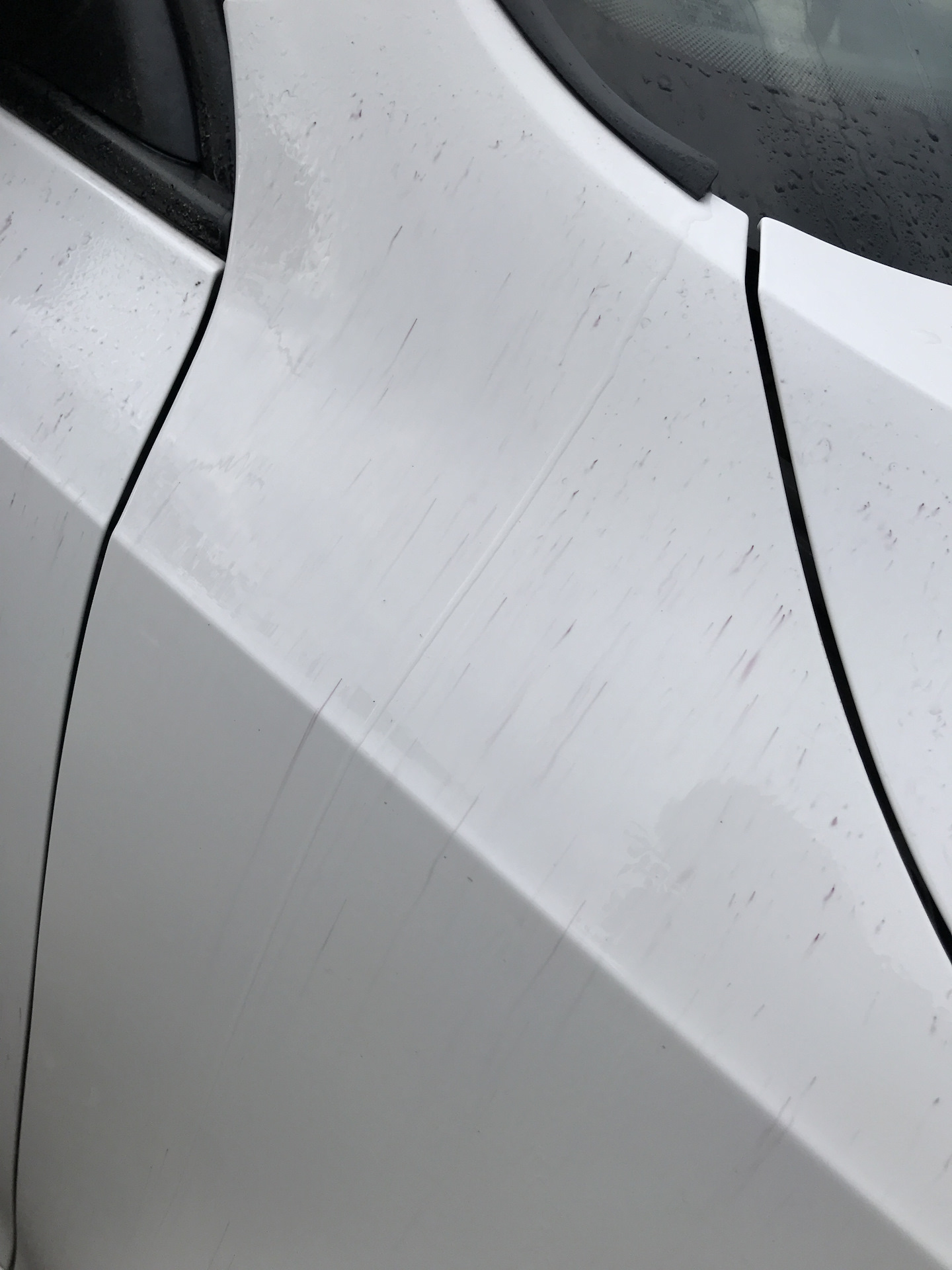 Чистка рыжих точек средством Sonax — Skoda Octavia A7 Mk3, 1,8 л, 2014 ...