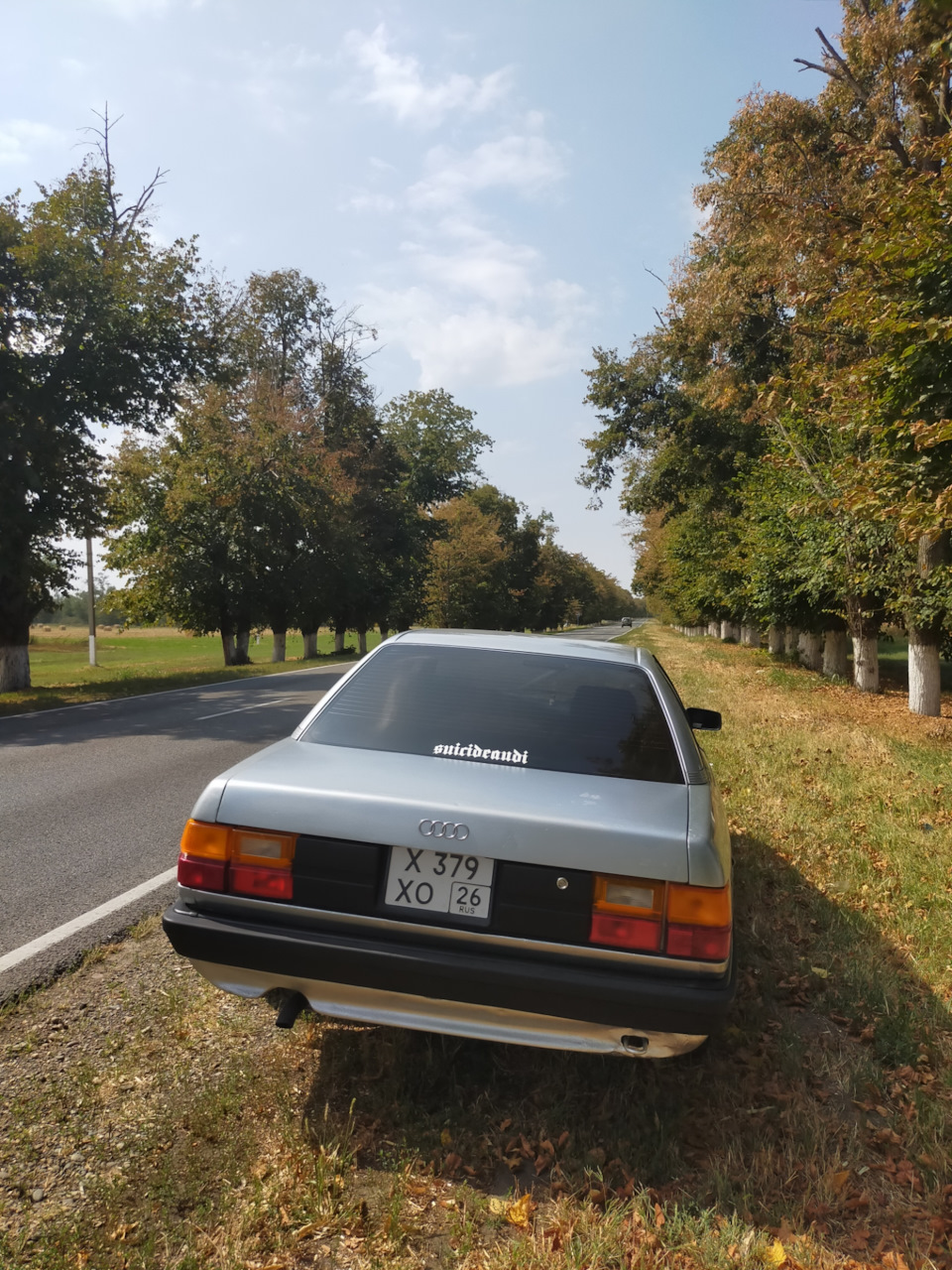 Диски Ronal Aero-Design(черепашки) — Audi 100 (C3), 2,3 л, 1989 года |  колёсные диски | DRIVE2