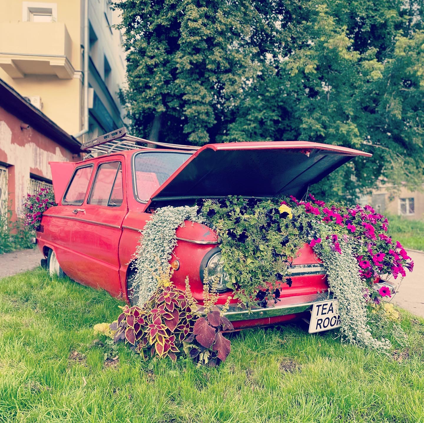 Мысли в слух. Постройка красотки в возрасте. — Lada 2106, 1,6 л, 1981 года  | просто так | DRIVE2