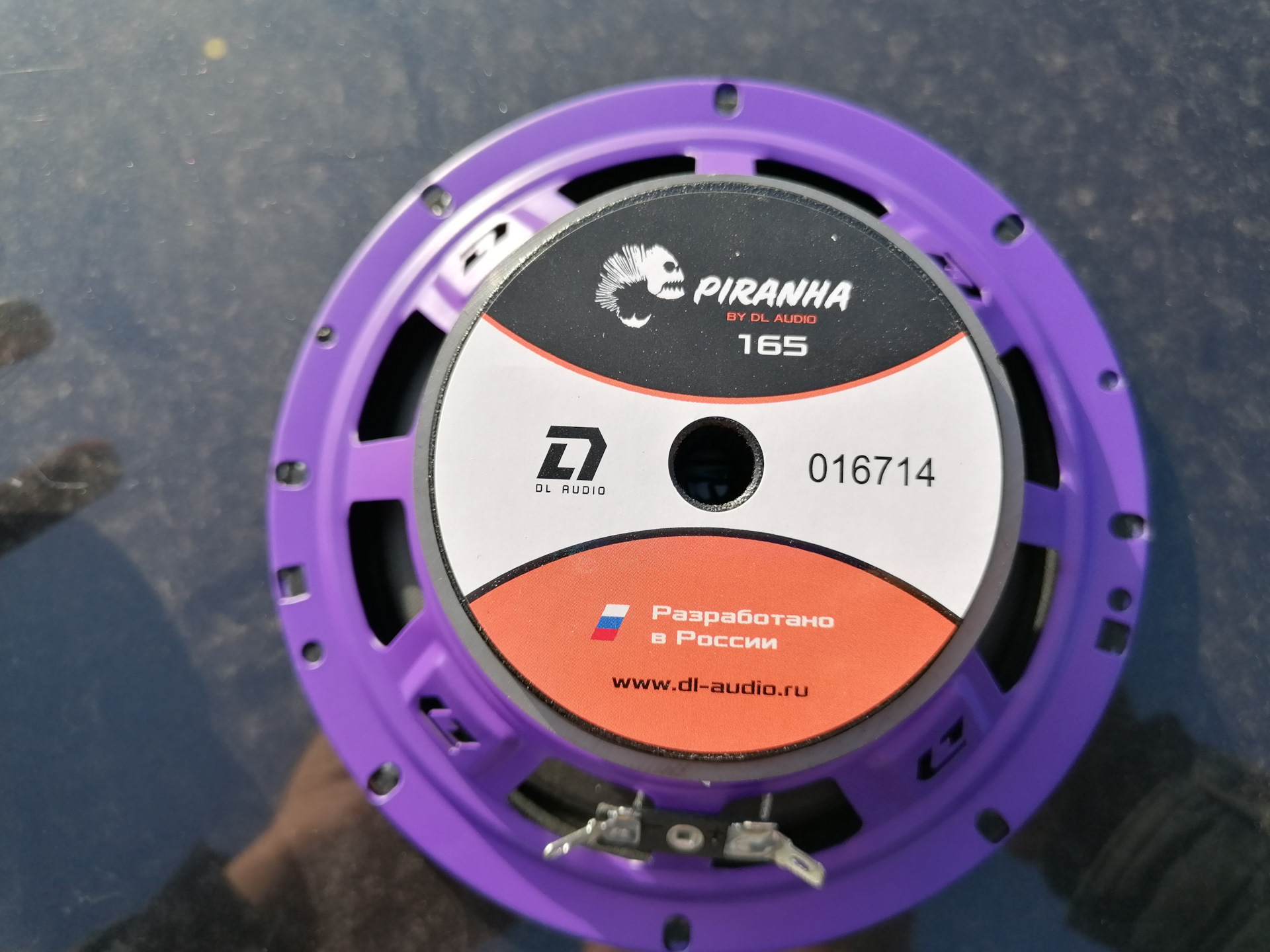 Dl audio piranha 15. Piranha 165 динамик. Авто акустика Pirania. Грили сетки для динамиков DL Audio Piranha 165 Grill Purple.