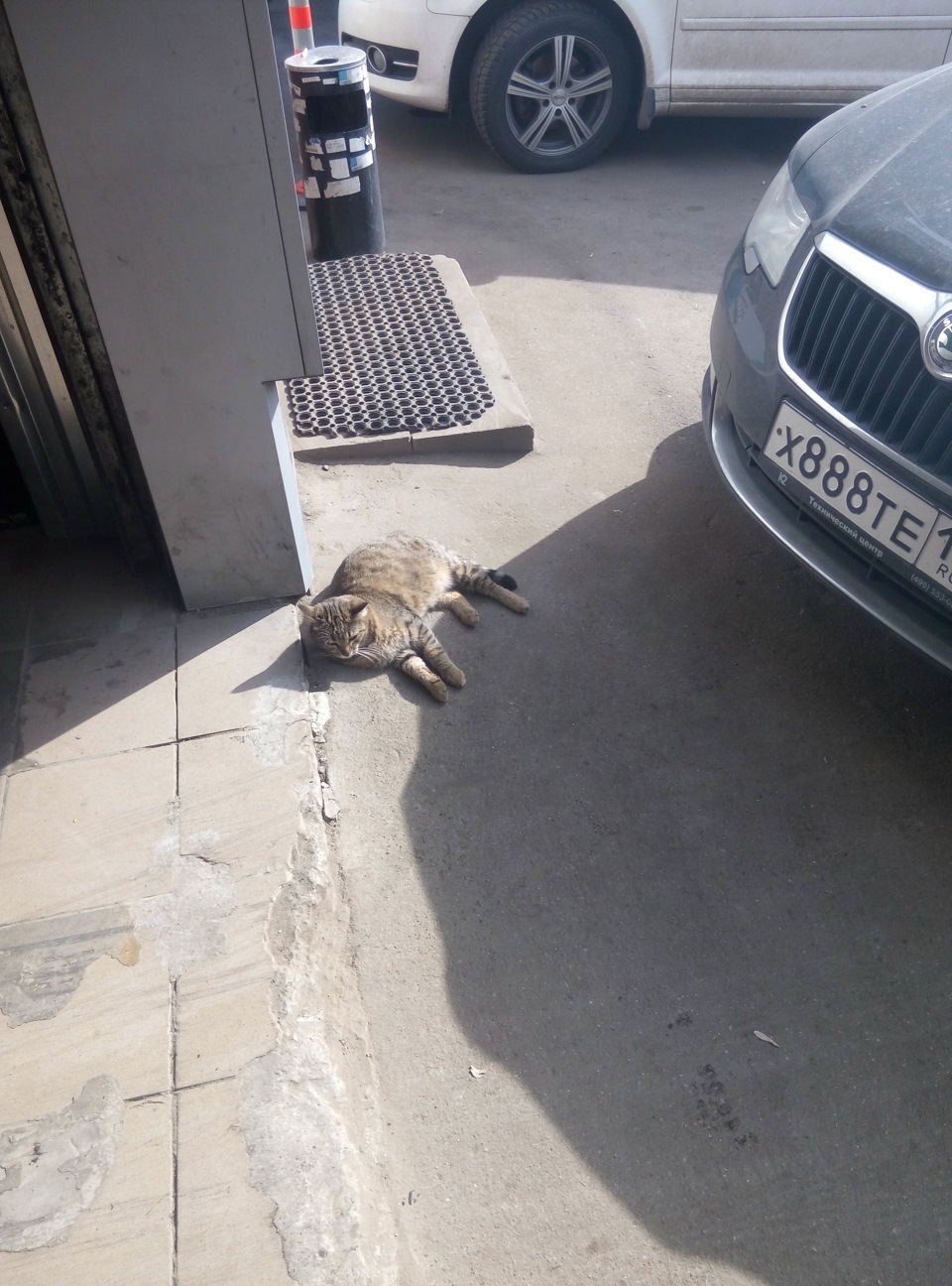 Фото в бортжурнале Skoda Superb Combi (Mk2)