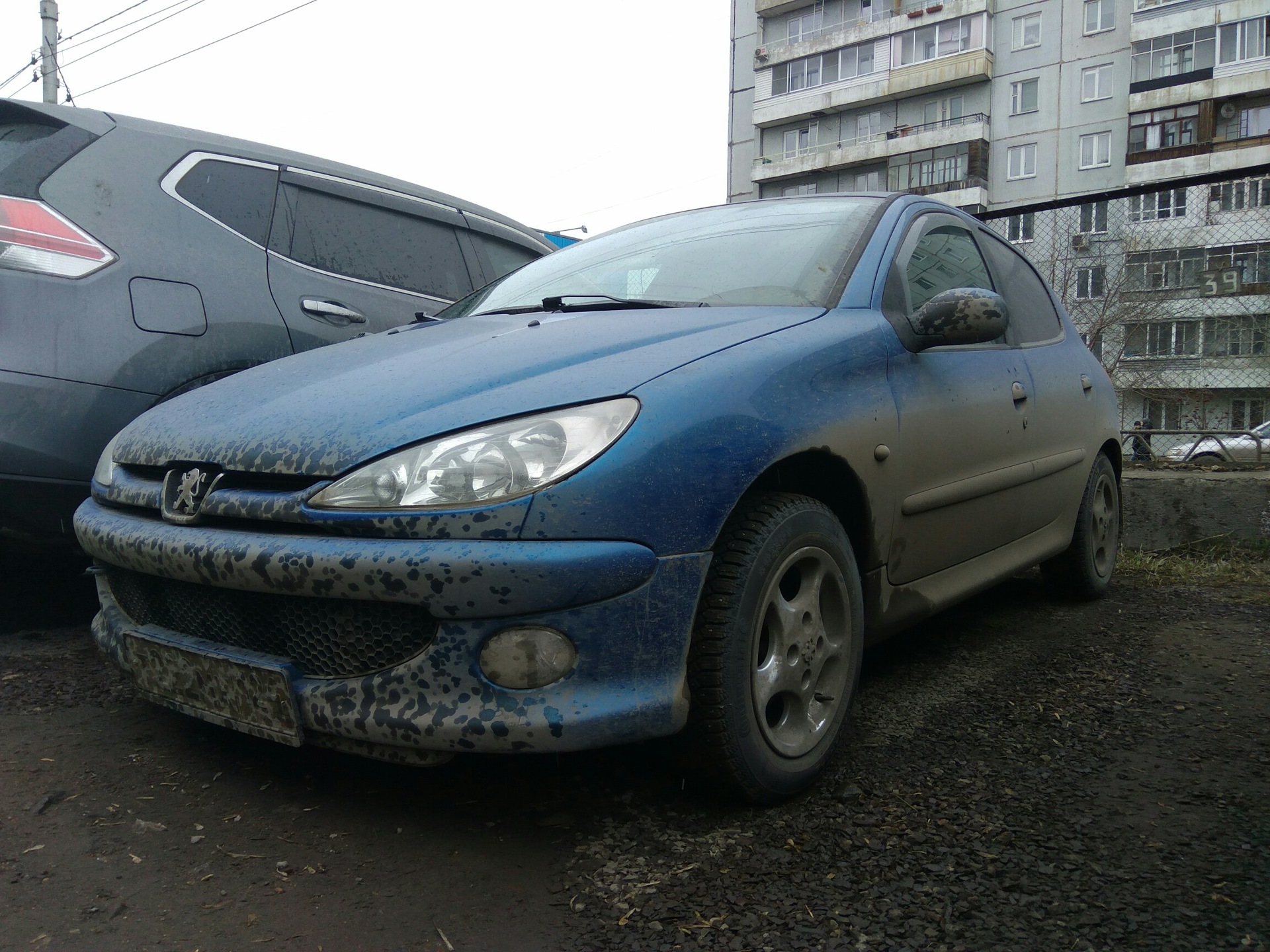 Приподнял морду львенка. — Peugeot 206, 1,4 л, 2006 года | визит на сервис  | DRIVE2