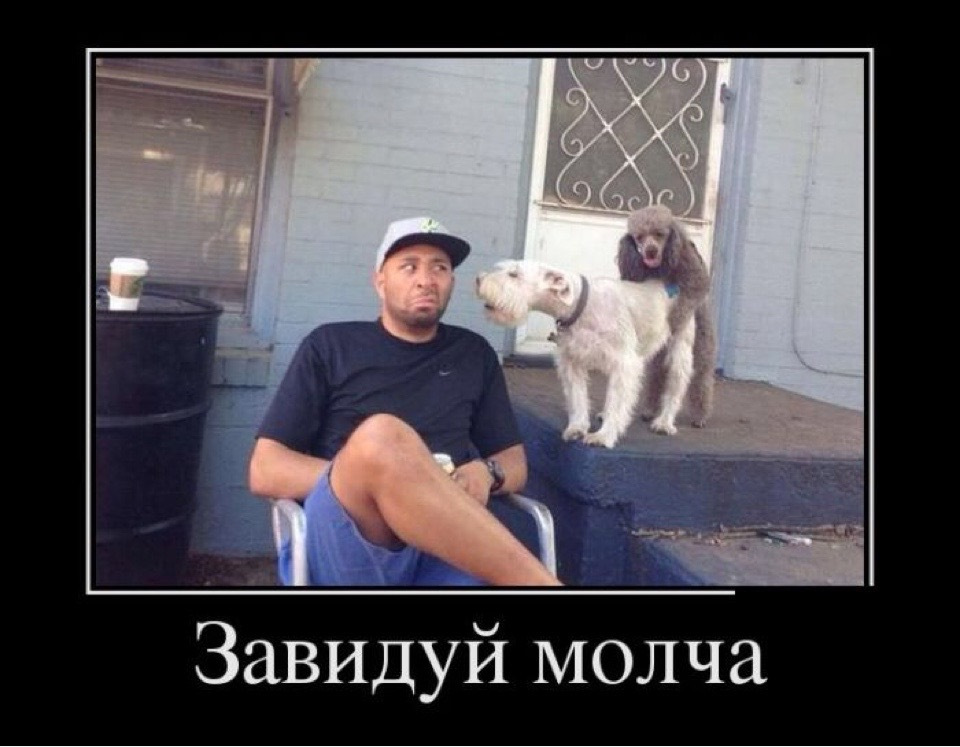 Не завидуй свету в чужом окне. Завидуй молча. Фото завидуй молча. Звидуйтк молча. Завидуй молча Мем.