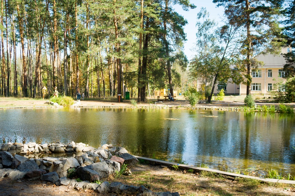 Графский заповедник воронеж фото