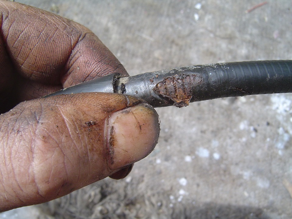 какая длина троса ручника ваз 2110. Смотреть фото какая длина троса ручника ваз 2110. Смотреть картинку какая длина троса ручника ваз 2110. Картинка про какая длина троса ручника ваз 2110. Фото какая длина троса ручника ваз 2110 какая длина троса ручника ваз 2110. Смотреть фото какая длина троса ручника ваз 2110. Смотреть картинку какая длина троса ручника ваз 2110. Картинка про какая длина троса ручника ваз 2110. Фото какая длина троса ручника ваз 2110