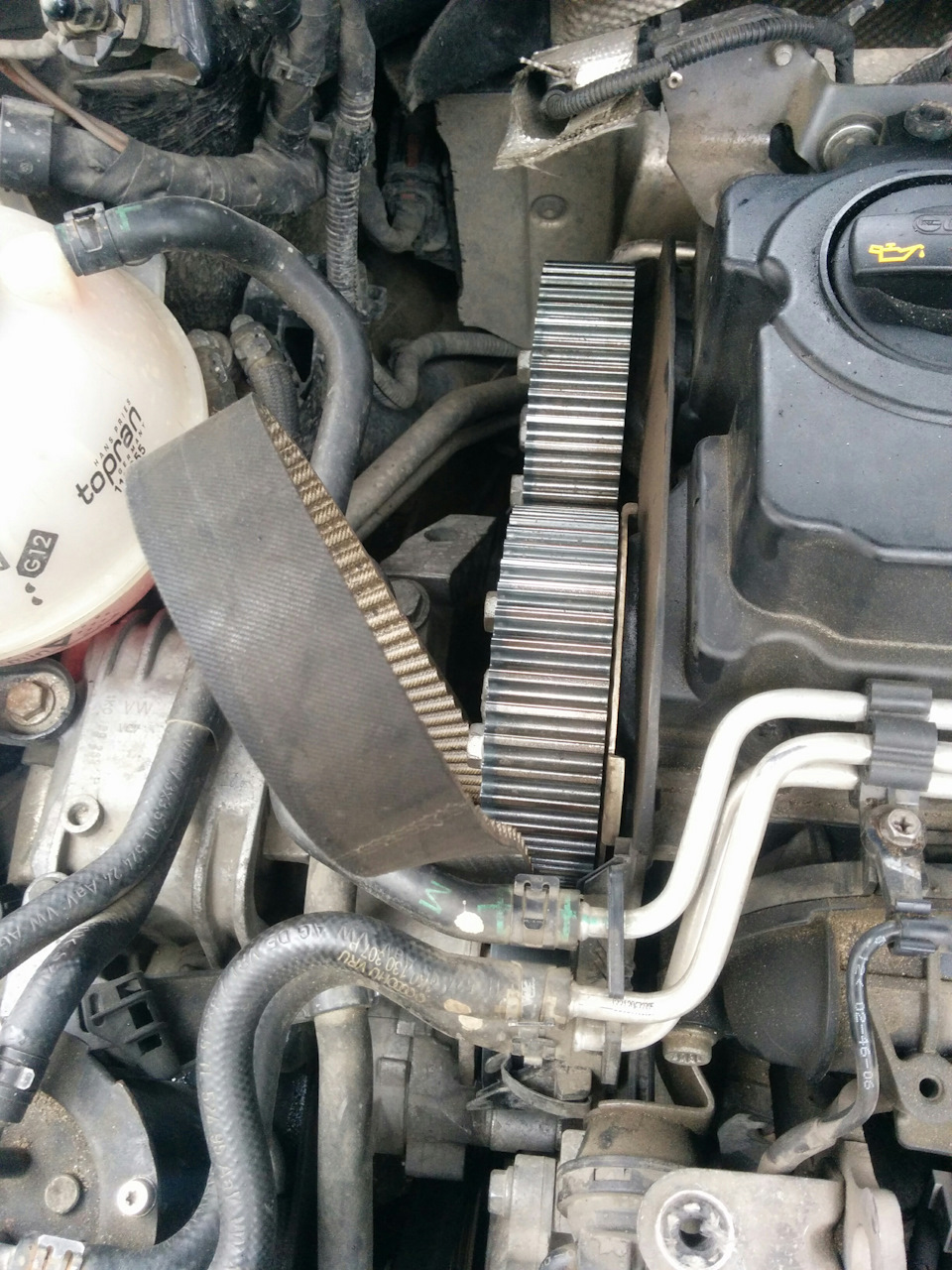 Фото в бортжурнале Volkswagen Passat Variant (B6)